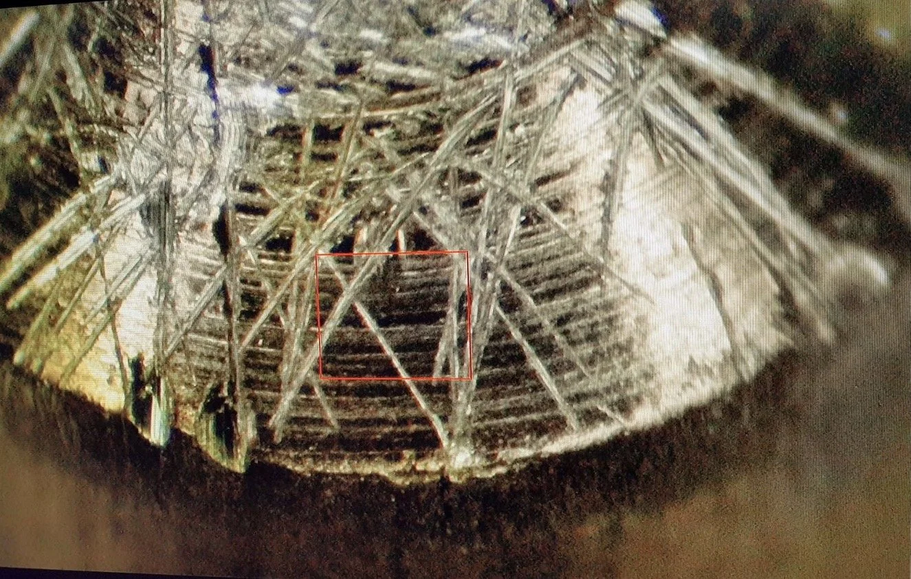 Une vue par microscope montrant une structure en treillis complexe en bois ou en matériau semblable, avec un cadre rouge autour d'une zone spécifique.