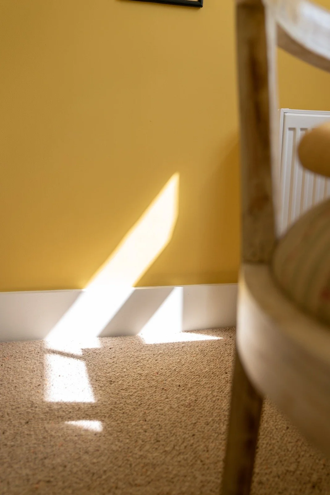 WhatsApp Image 2025-12-08 at 11.53.06 (1).jpeg