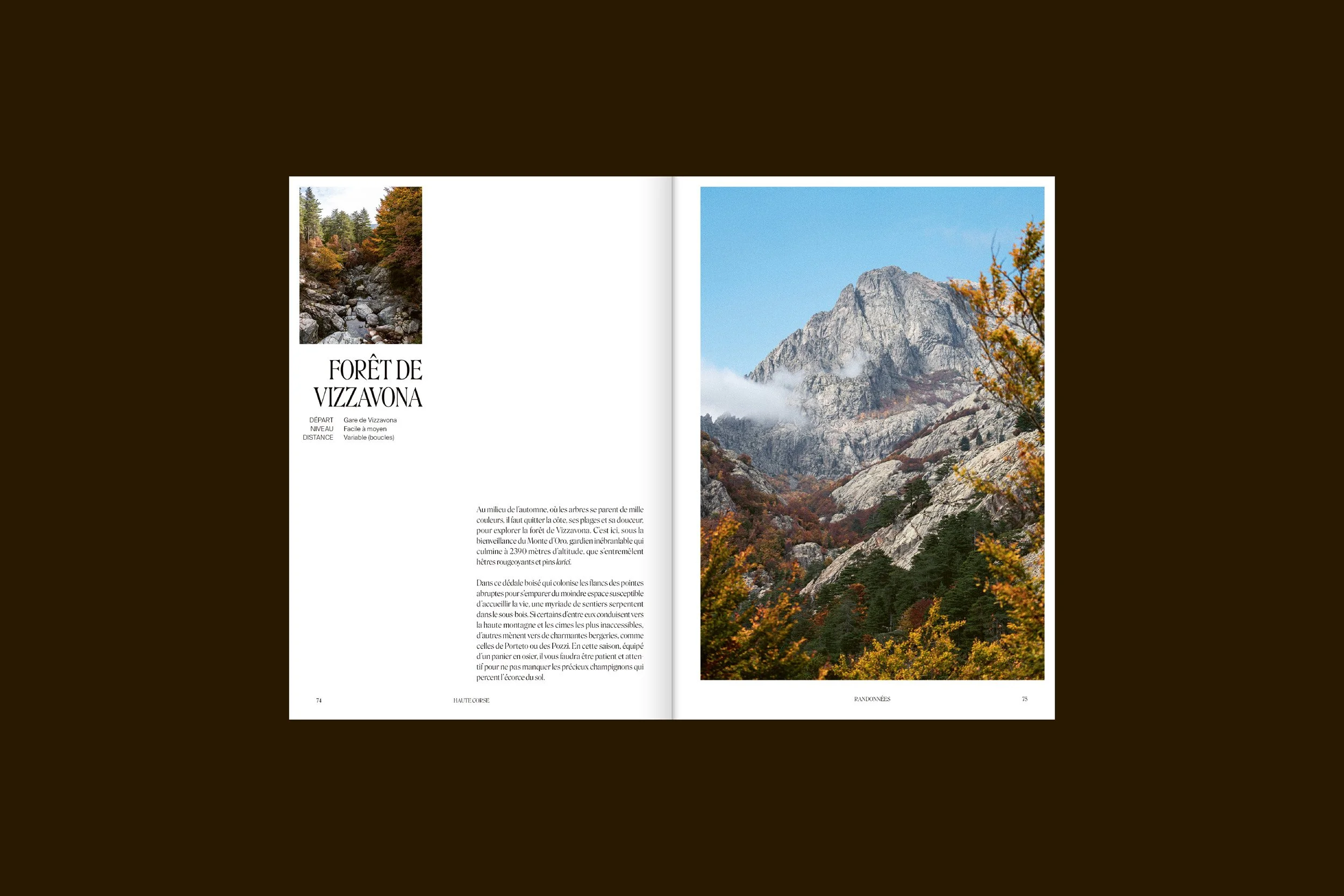 Guide Corse Maquis 5.jpg