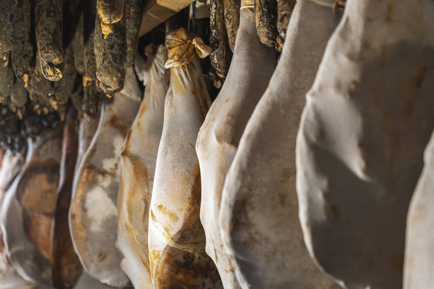 Bobine x A Pignata (13).jpg