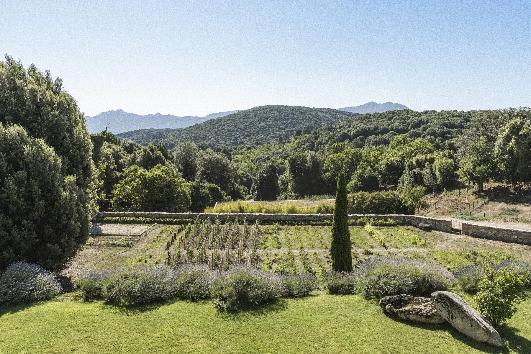 Bobine x A Pignata (24).jpg