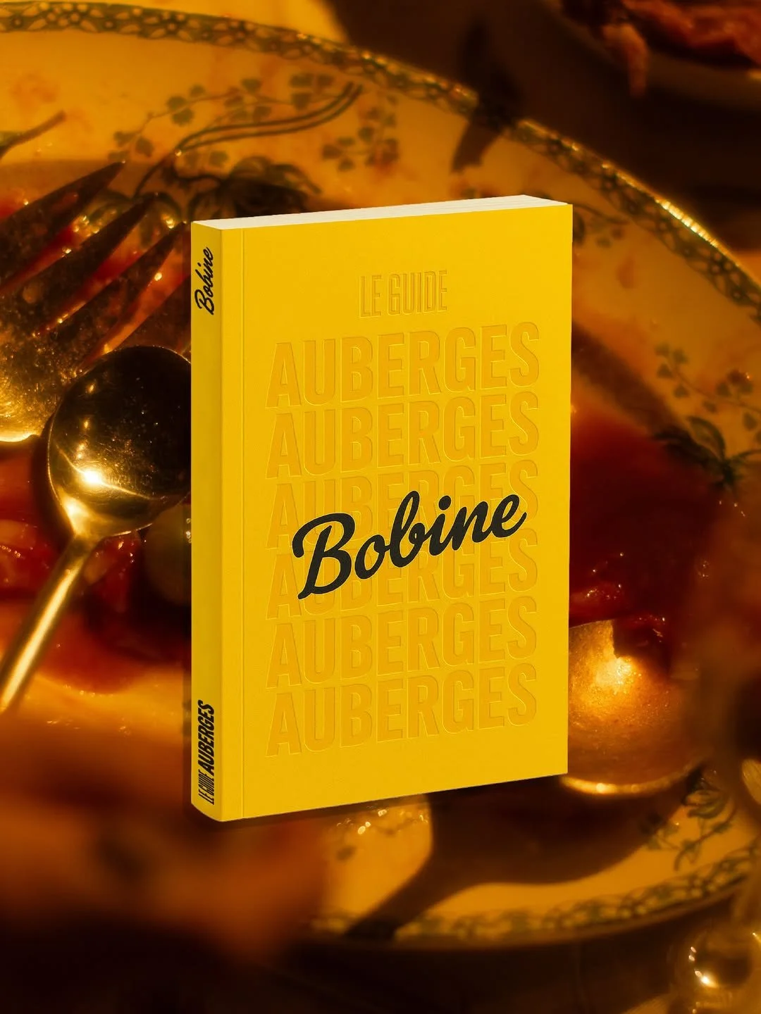 Guide Auberges par Bobine.JPG