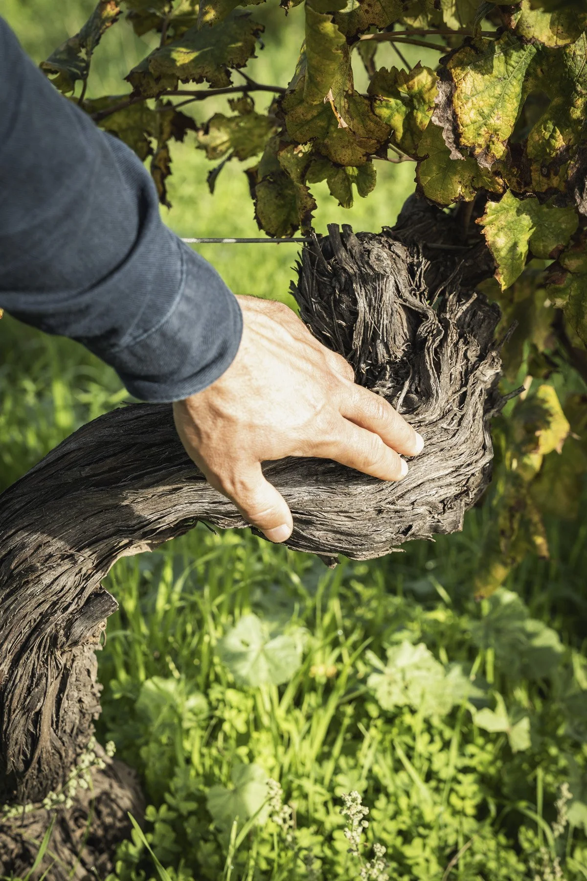 04- Porto-Vecchio.jpg