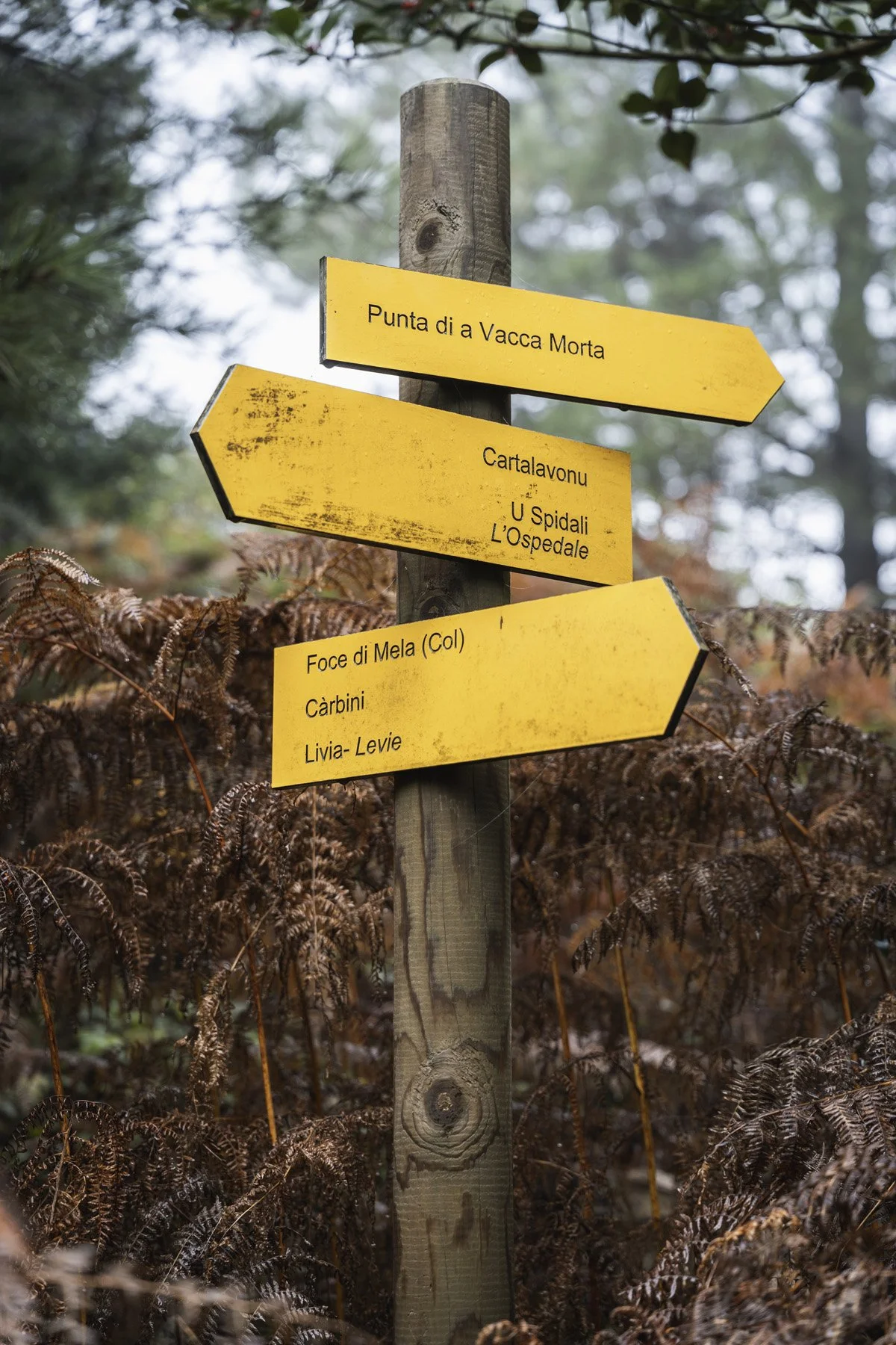 06- Porto-Vecchio.jpg