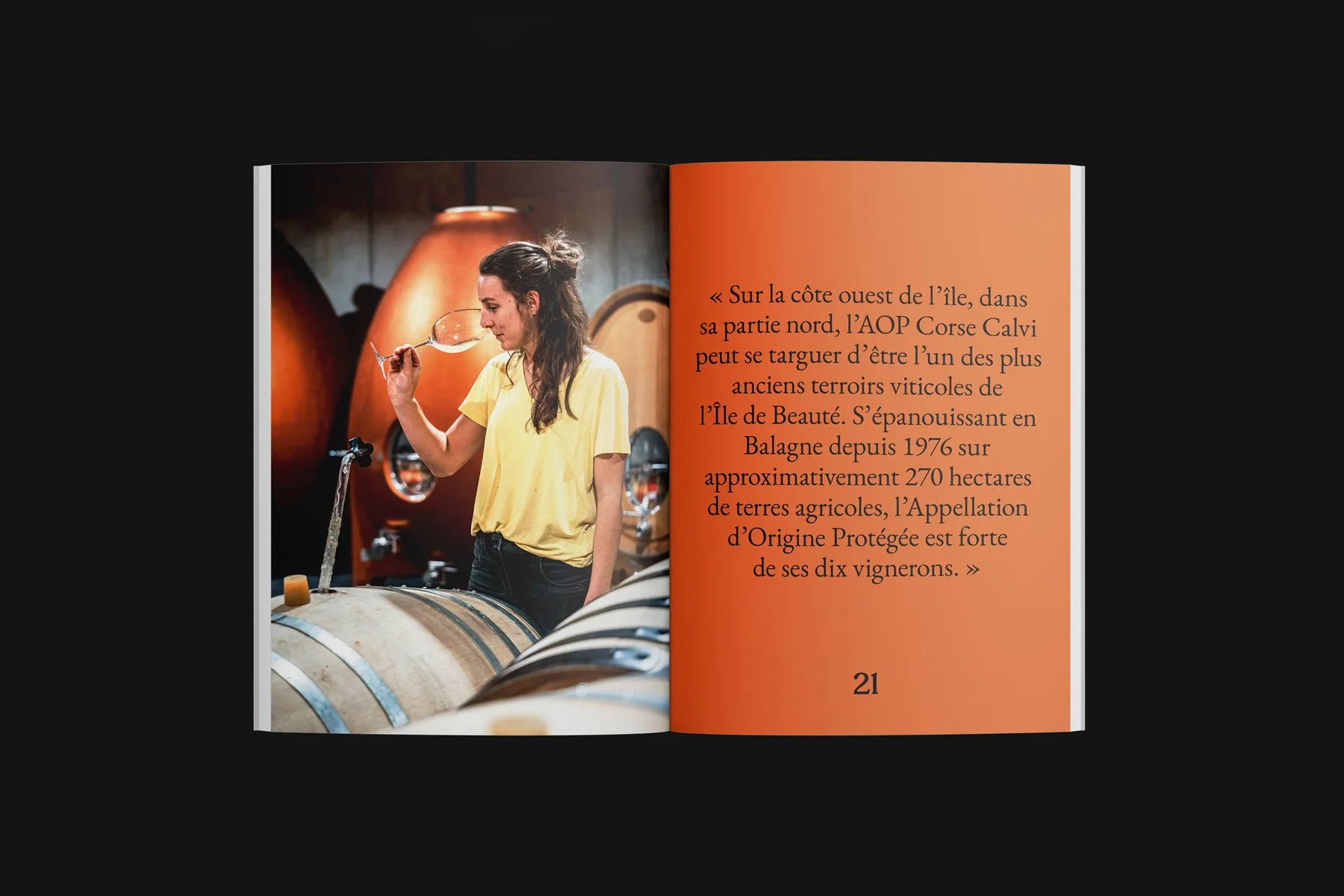 04- Calvi-Balagne Corsica.jpg