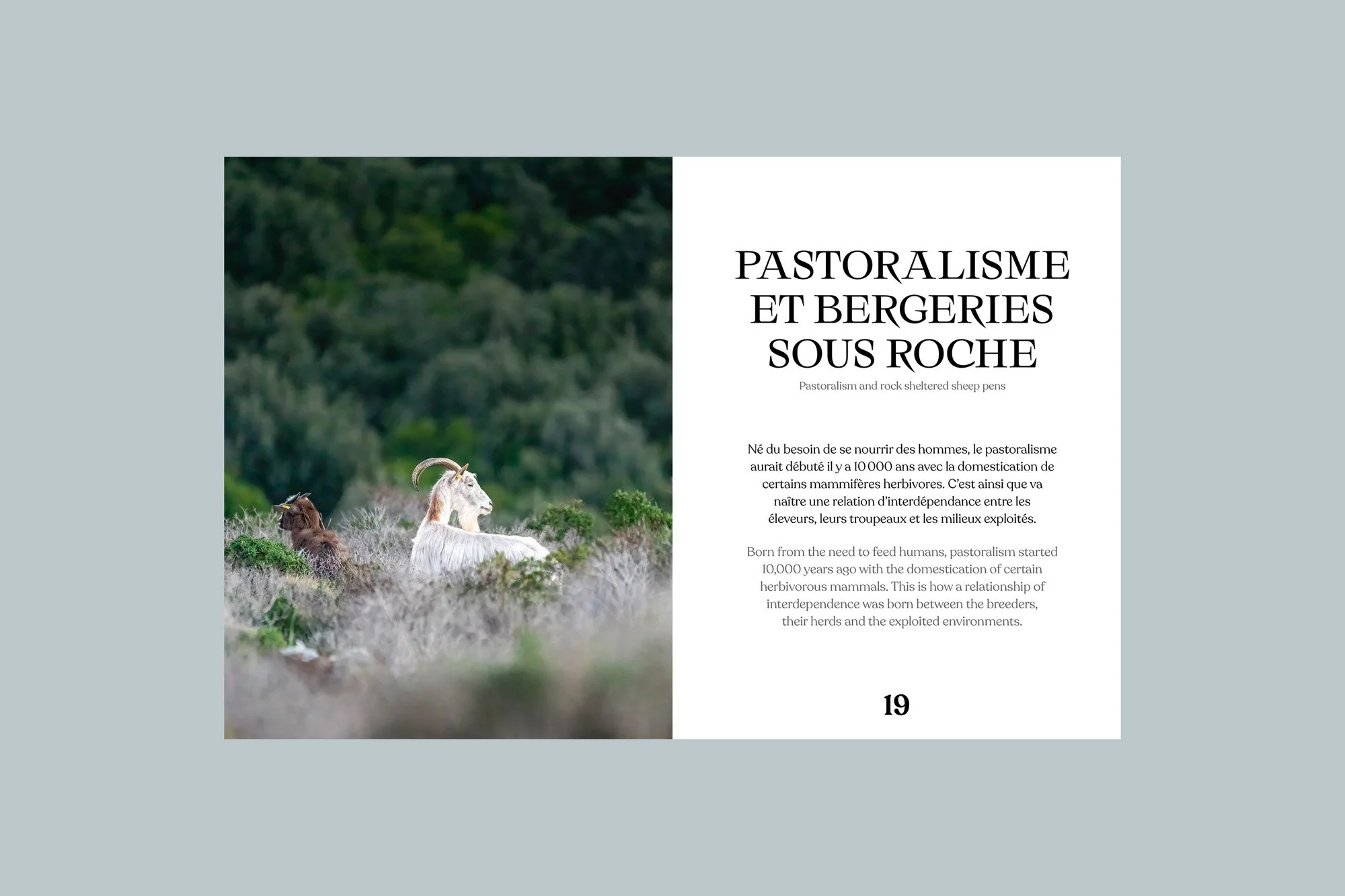 05- La péninsule du rêve (Cap Corse).jpg