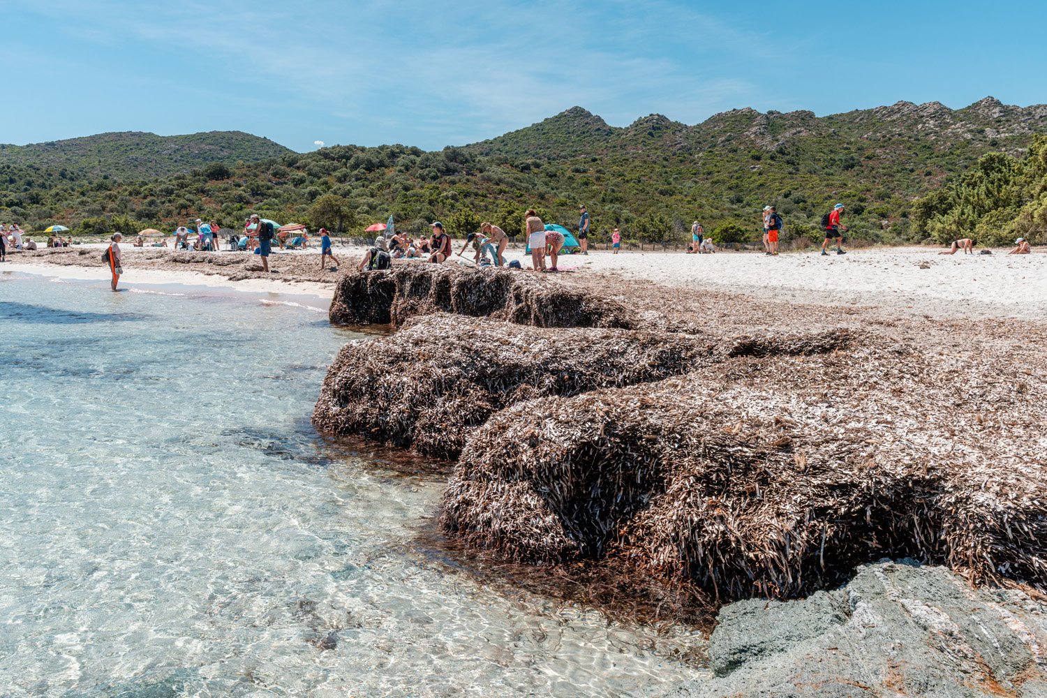 Plage du Lotu dans le désert des Agriates