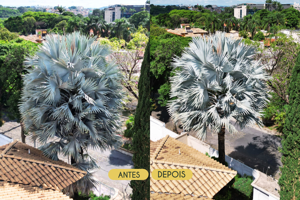 Design sem nome (18) (1).png