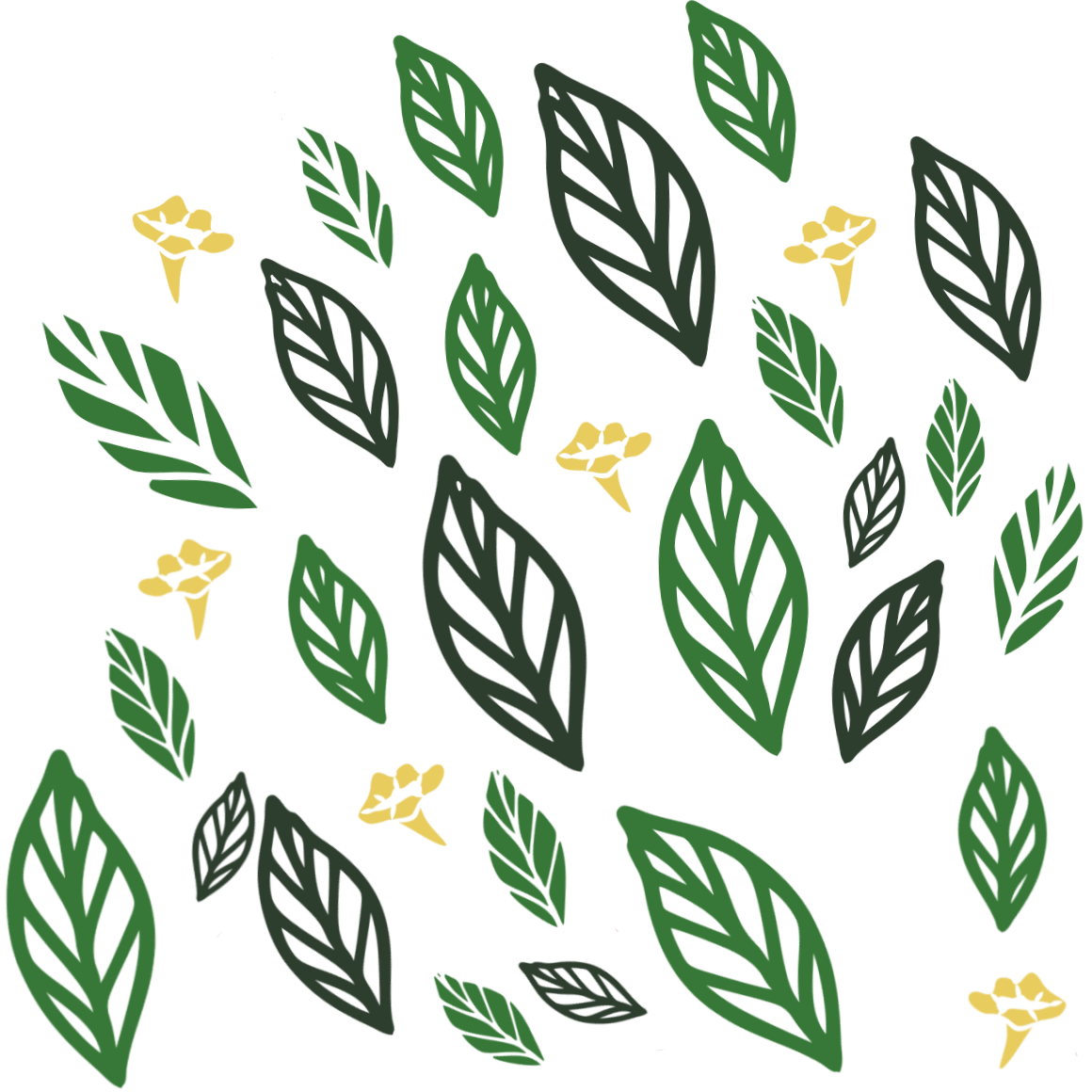 Ilustração de folhas verdes e flores amarelas em fundo preto.