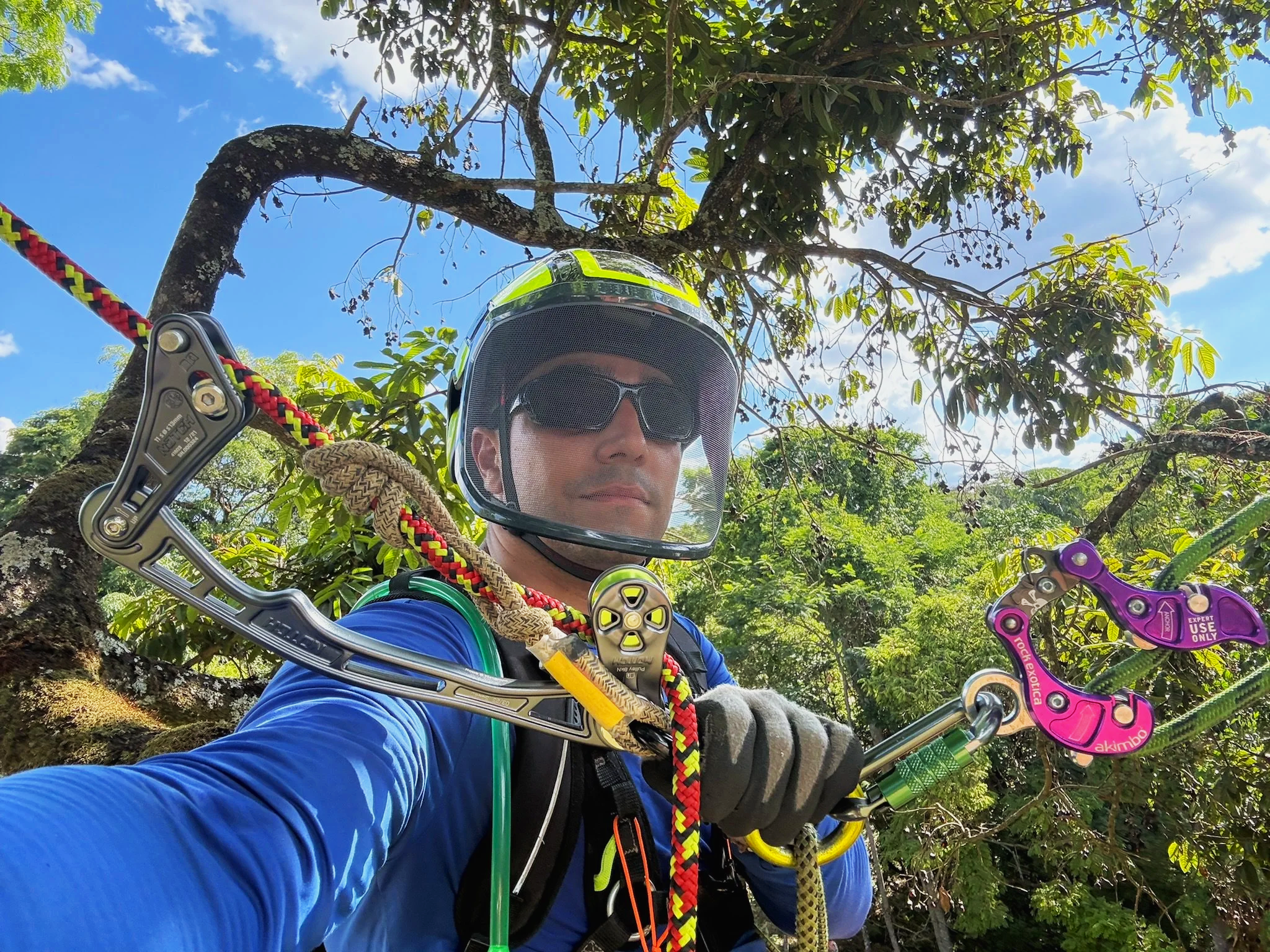 Arborista da empresa ArboHorizonte com capacete, óculos de proteção, luvas e selim de escalada em uma árvore com céu azul e folhagem ao fundo pronto para fazer uma poda de árvore.