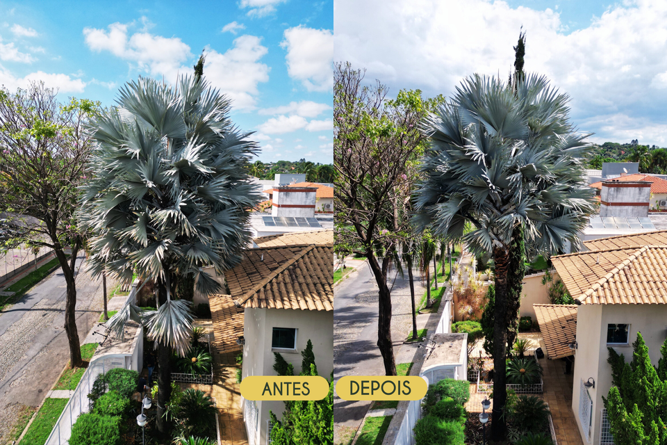 Design sem nome (15) (1).png