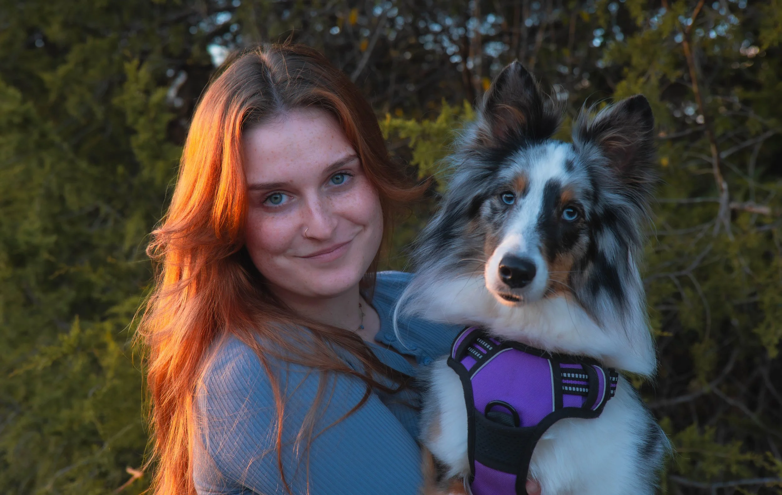 A woman with red hair and blue eyes smiling while holding a tricolor Australian Shepherd dog in a purple harness outdoors with green trees in the background.