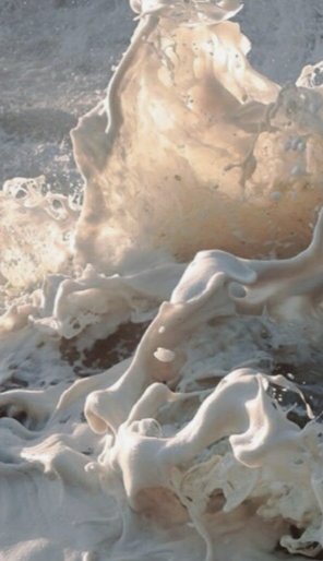 Embodiment vs. Mindset Work: Why the Body Must Be Included in Healing