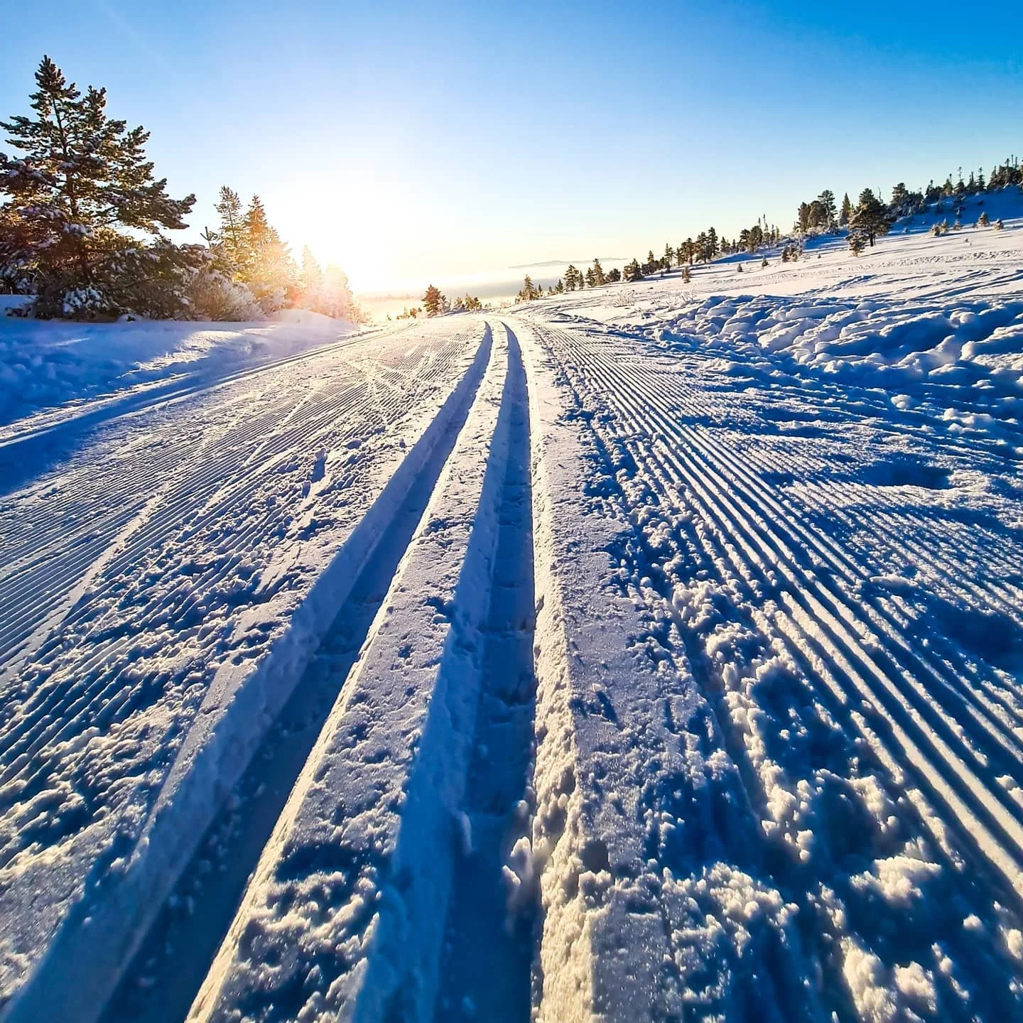 FESTE Grunning voks/felle-ski