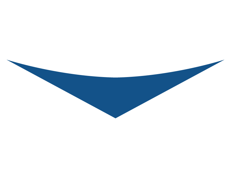 The smile shape from our One Big Happy Business Podcast logo, used as a part of the website section separator.