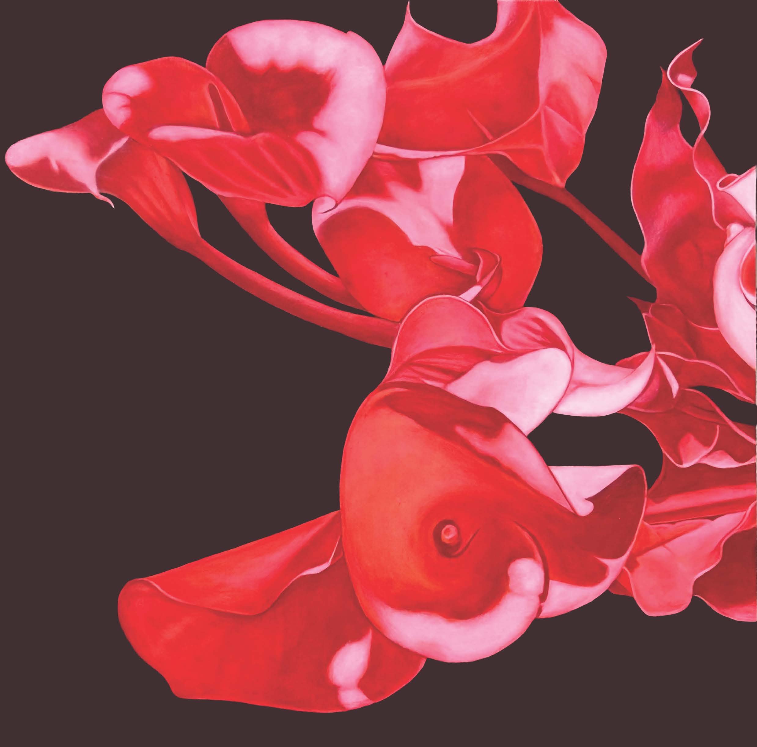 WILD CALLAS