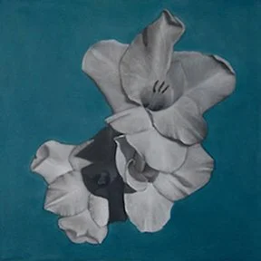 Black and white drawing of a flower with large petals against a blue background.