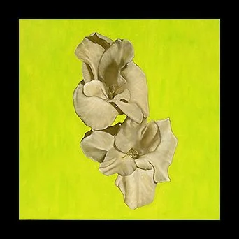 Abstract painting featuring beige flower-like shapes on bright yellow background with black border.