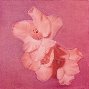 A pastel pink bunny holding a flower, set against a pink background.