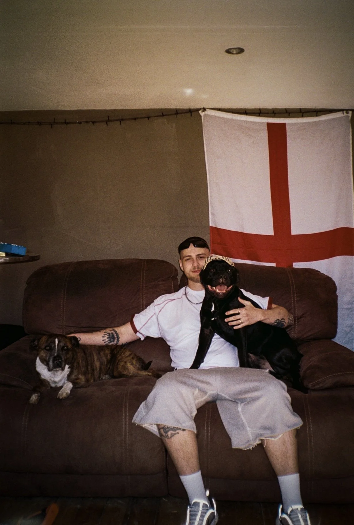young man sat with two staffy dogs with England flag hanging behind him