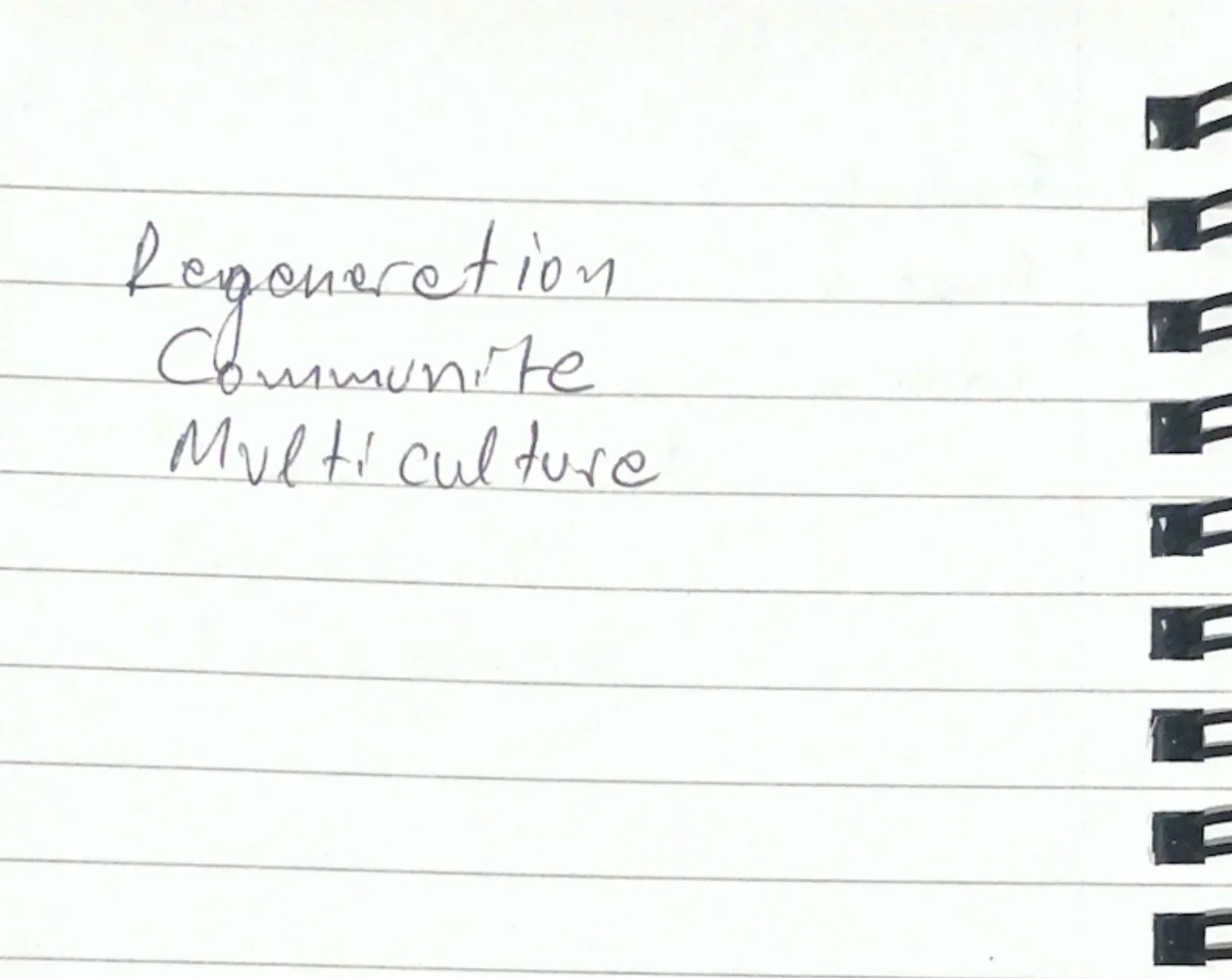 a scan of a notebook I took around Southwark, I asked residents to write three words that first come to mind when they think about the area and this one reads 'regeneration, community, multi culture'