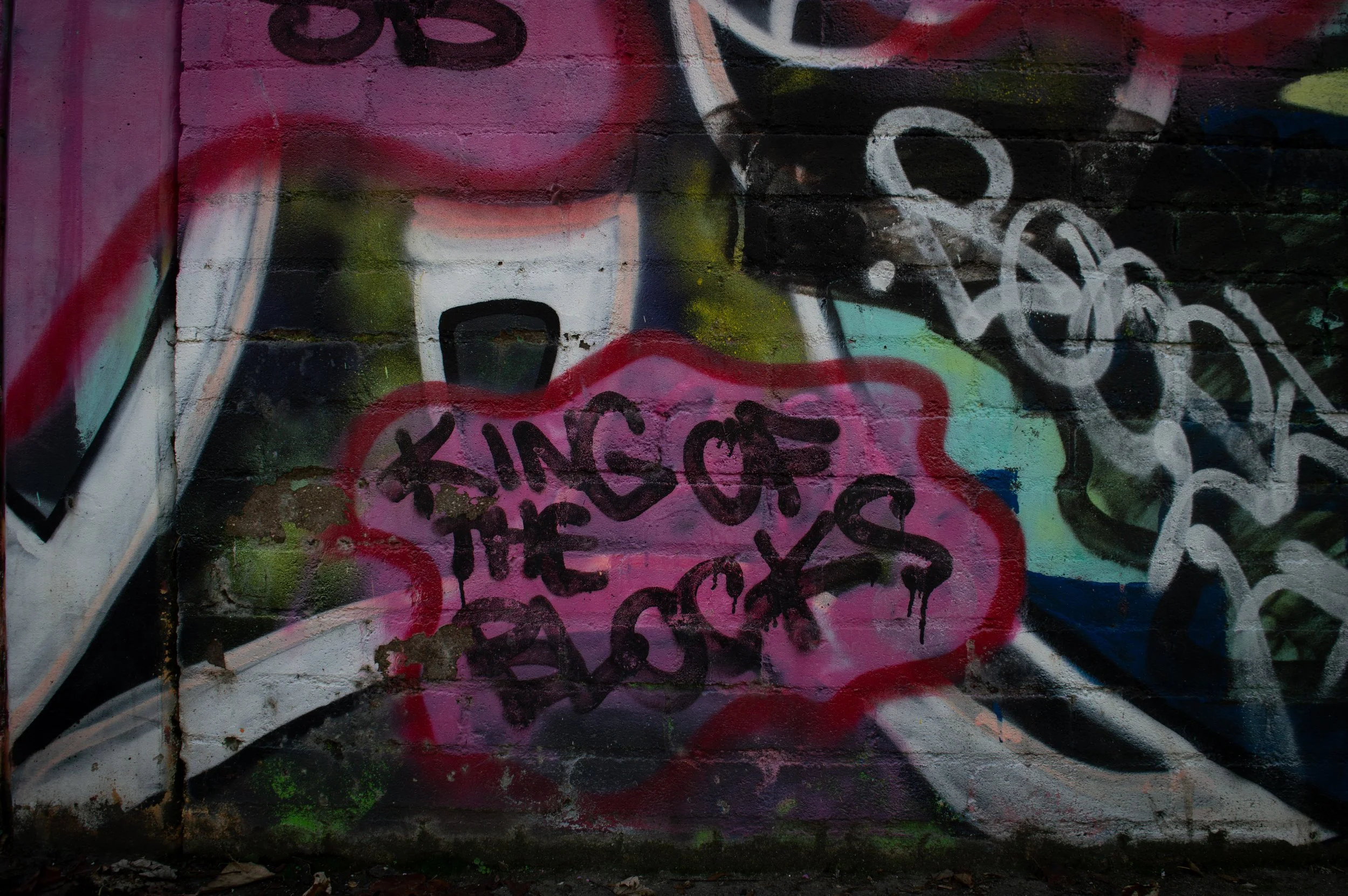 colourful graffiti art Aylesbury Estate saying 'king of the blocks'