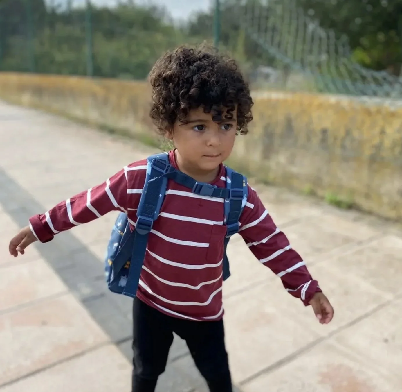 Life is the tenderest thing