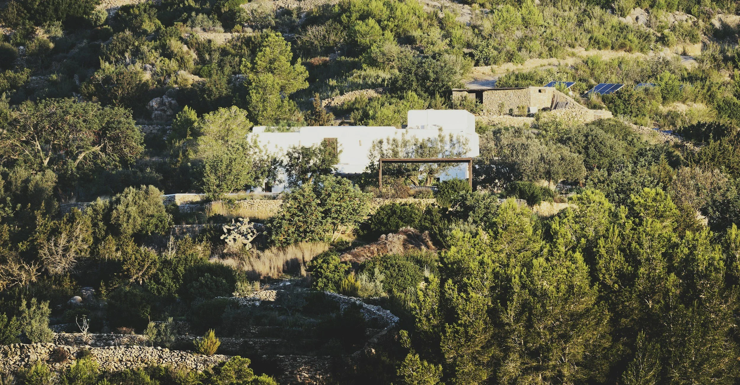 A modern white house nestled among dense green trees and shrubs on a hillside, with solar panels on nearby structures in the background.