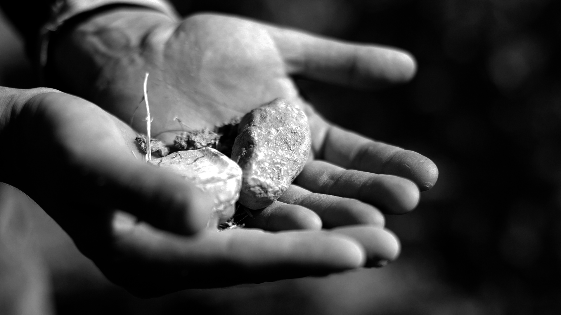 Main tenant des roches dans la paume d'une main, en noir et blanc.