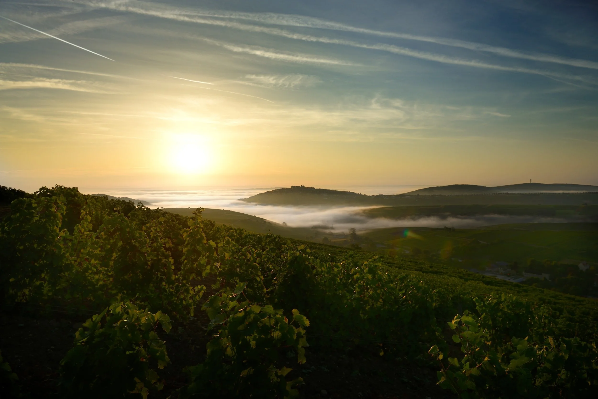 Paysage de collines avec vignoble au lever du soleil, nuages dans le ciel avec des traînées d'avions.