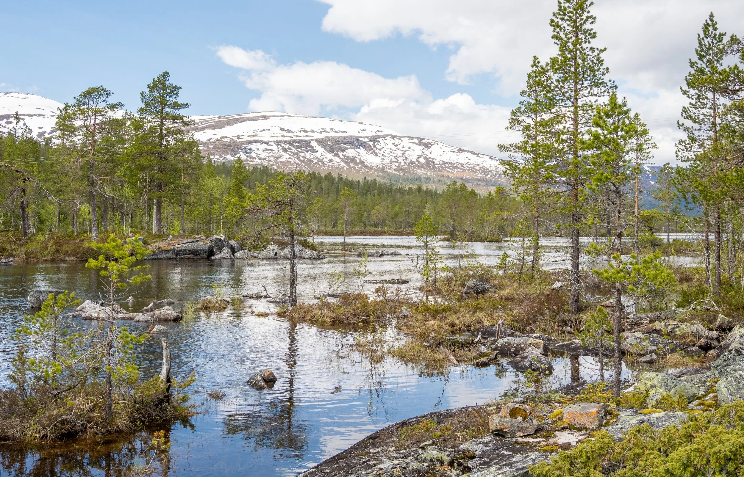 Norwegen-1054.jpg
