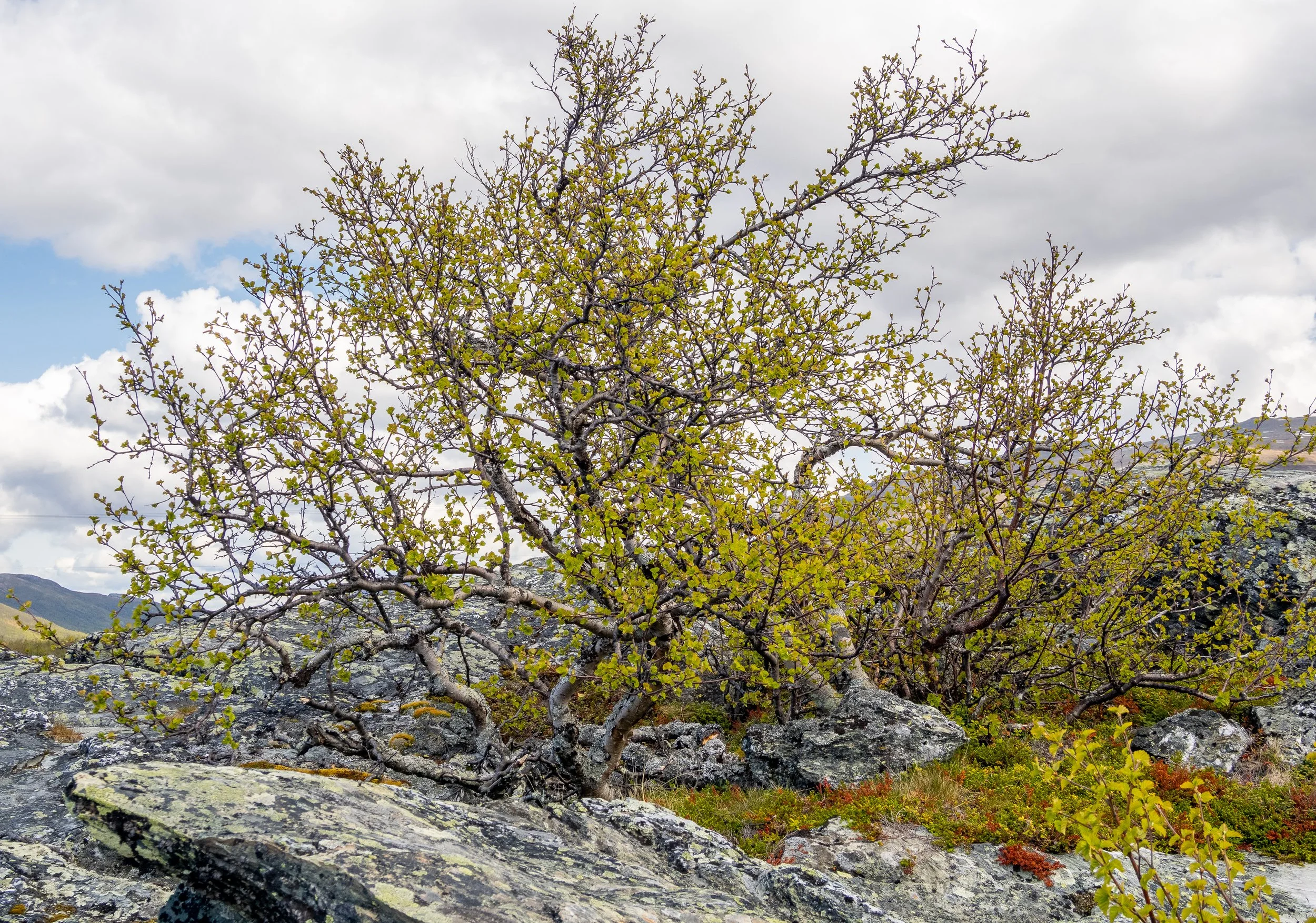 Norwegen-0796.jpg