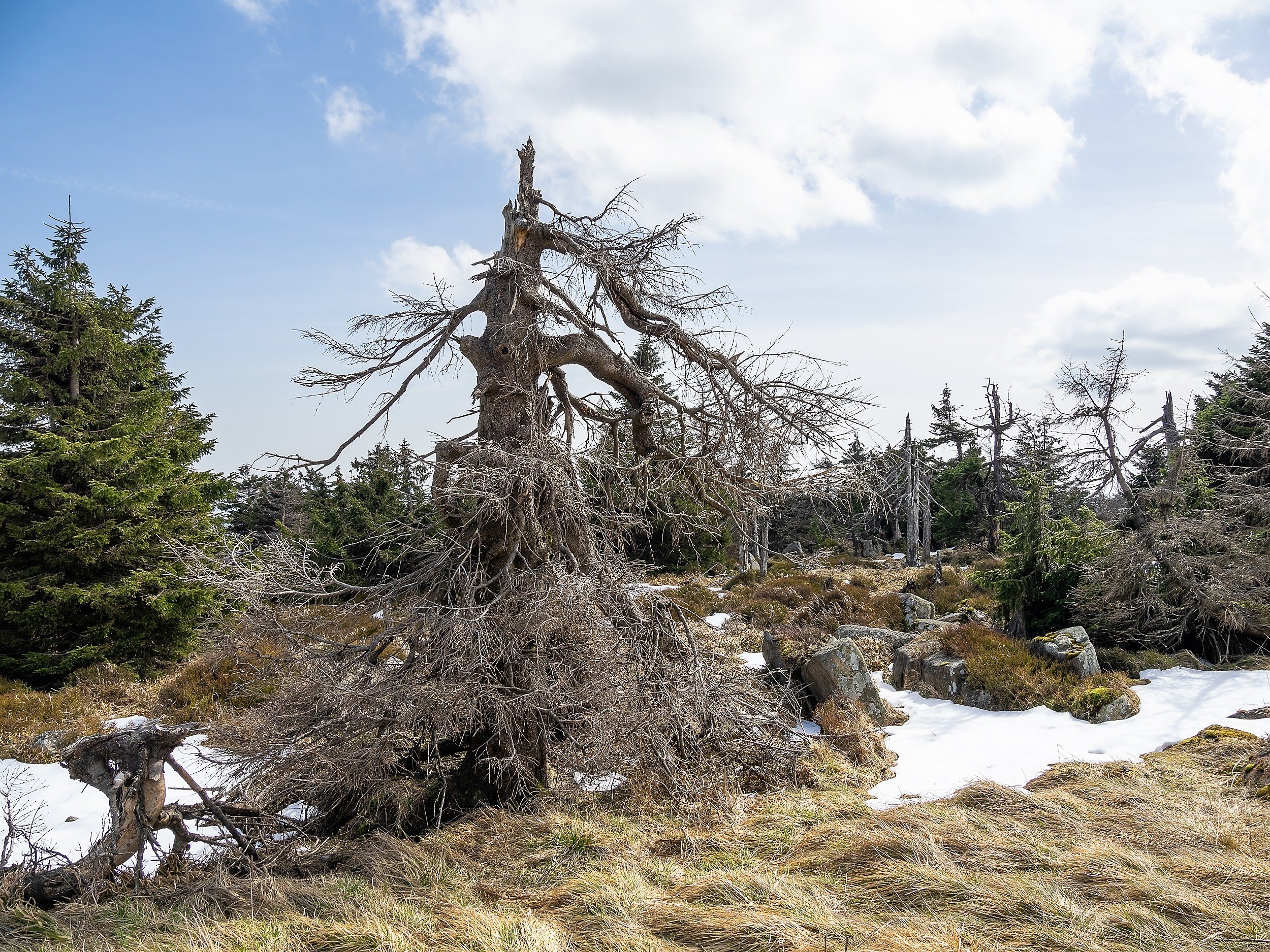 OTS-Harz-2024-014.jpg