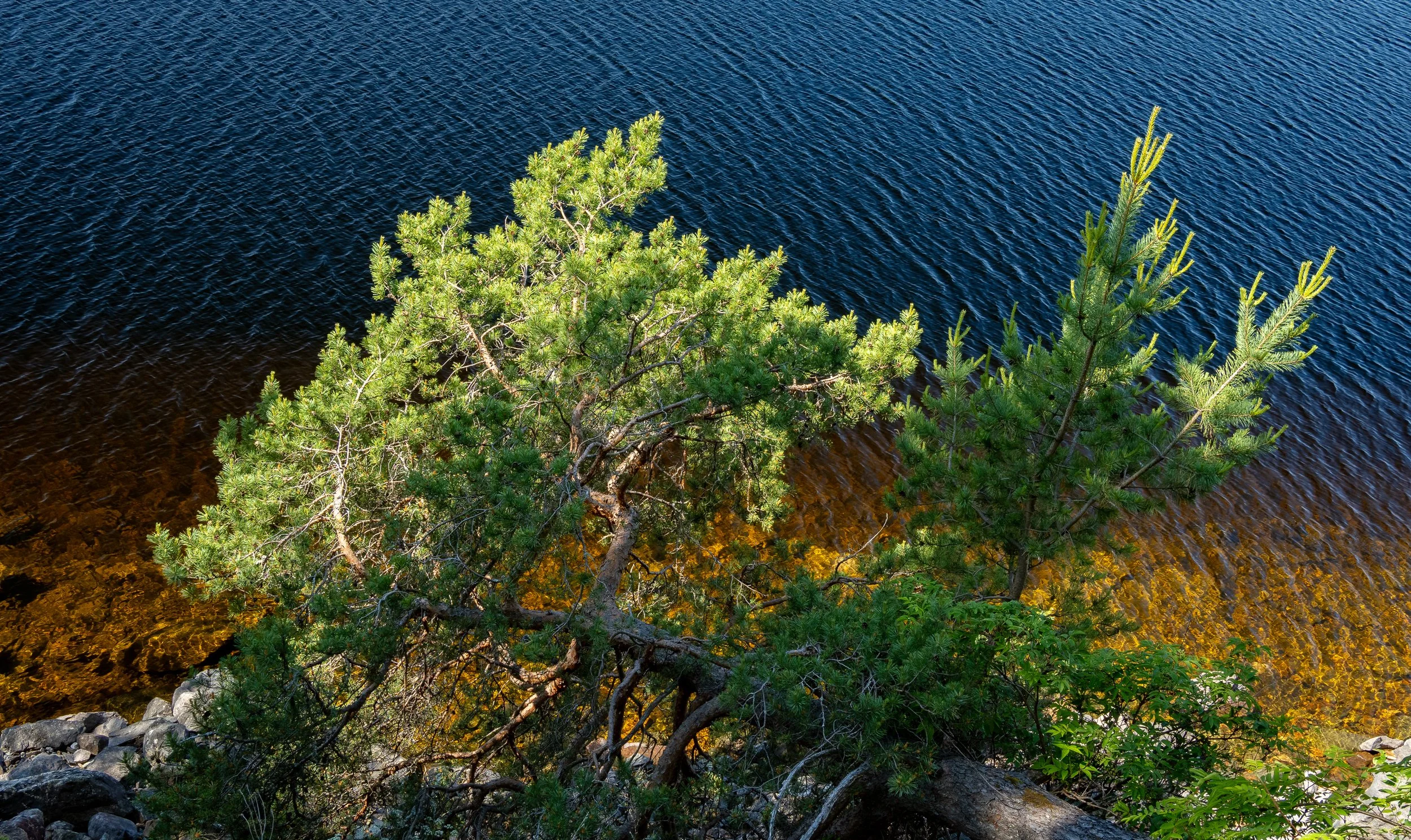 Norwegen-0665.jpg