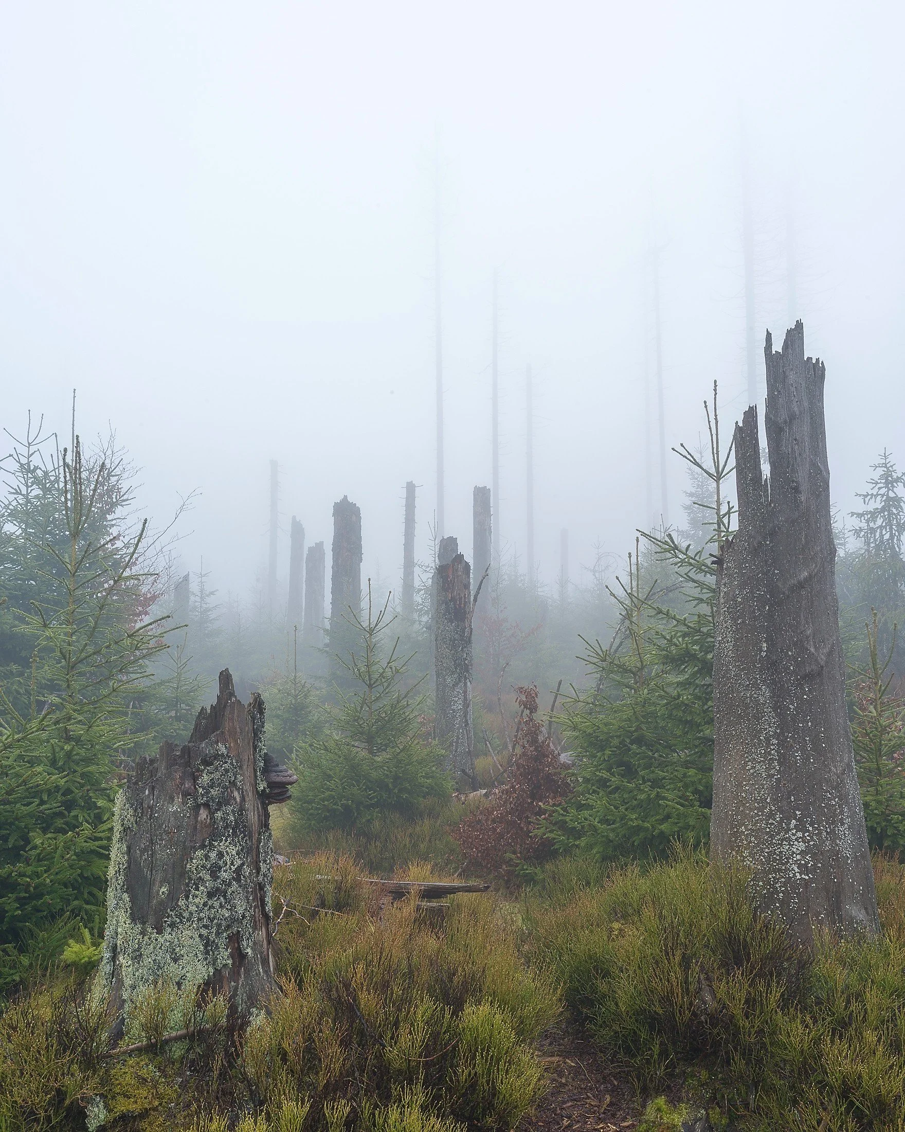 ots-photographie-harz-04-2023-025.jpg
