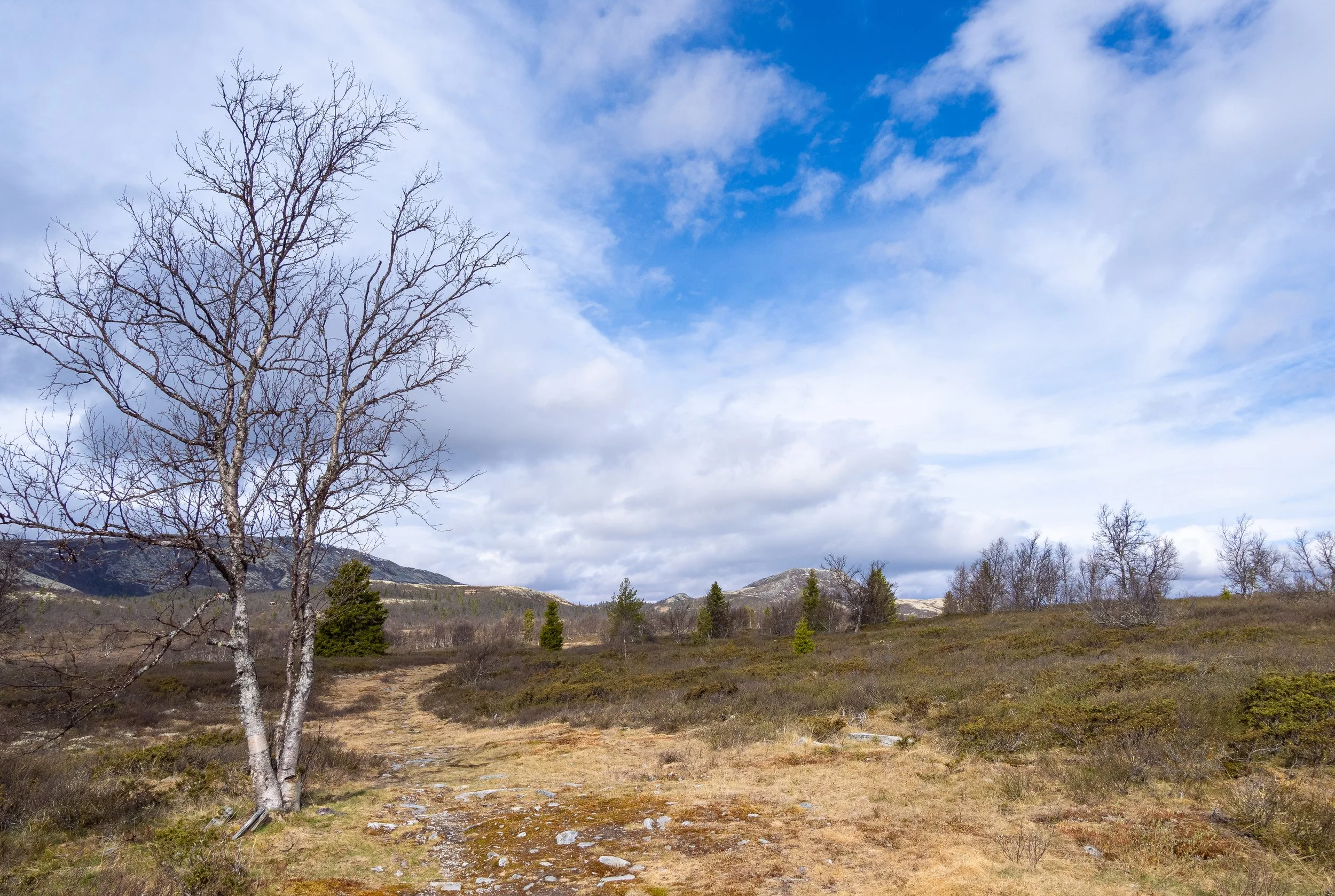Norwegen-0470.jpg
