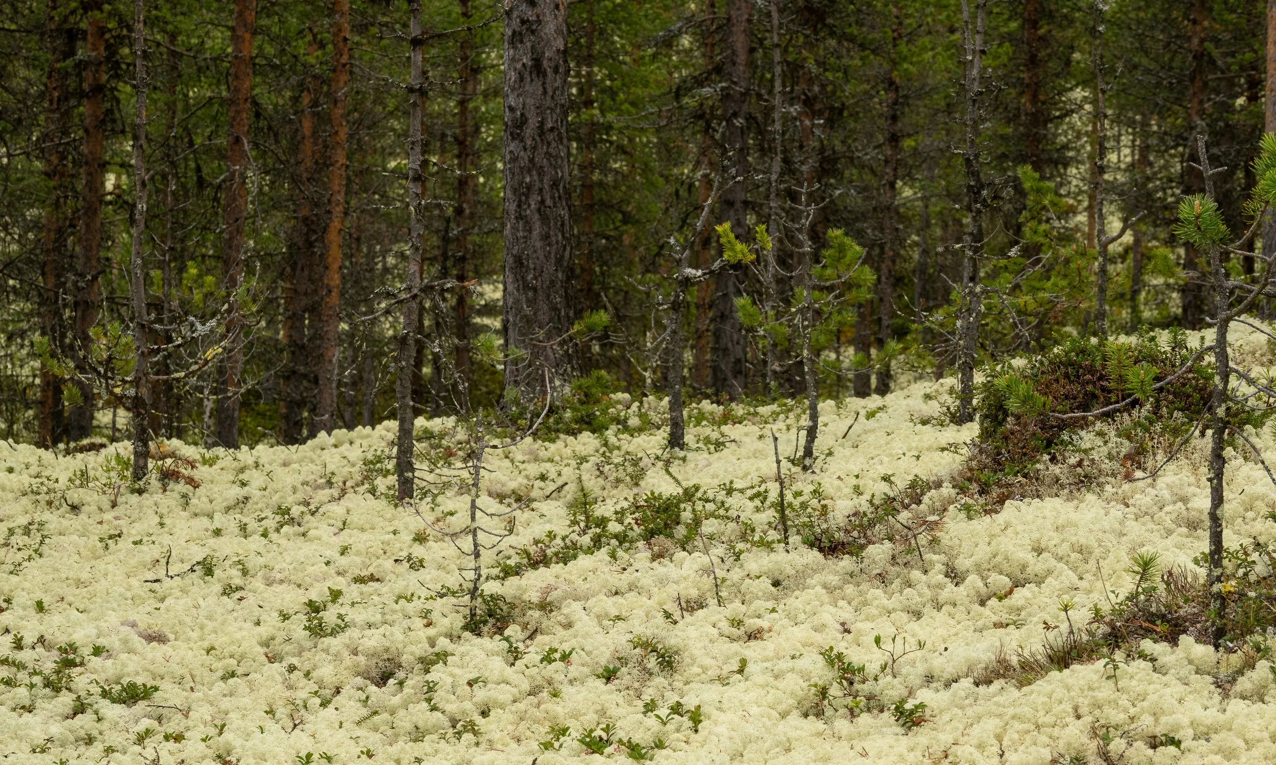 Norwegen-1048.jpg