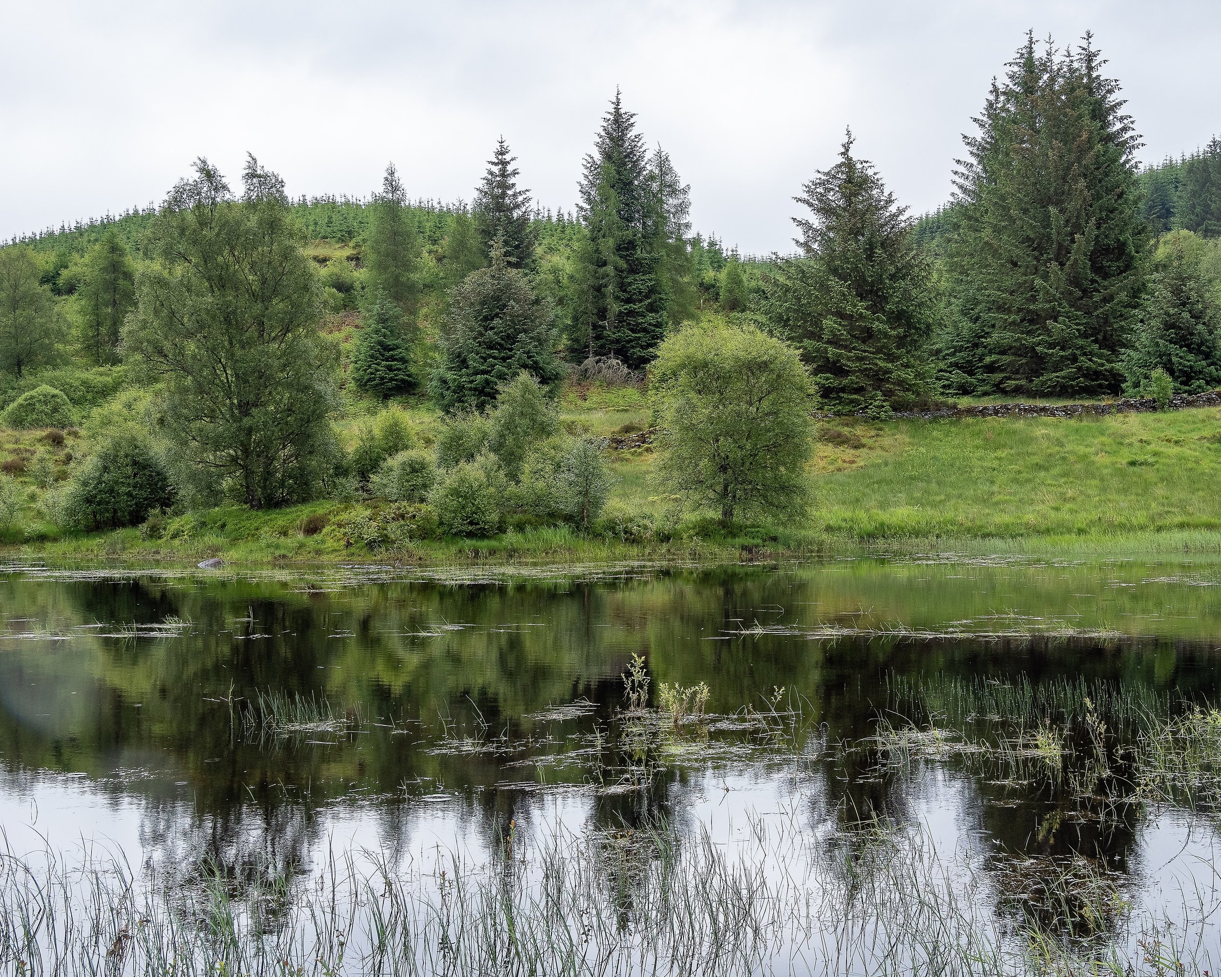 OTS-Schottland-color-002.jpg