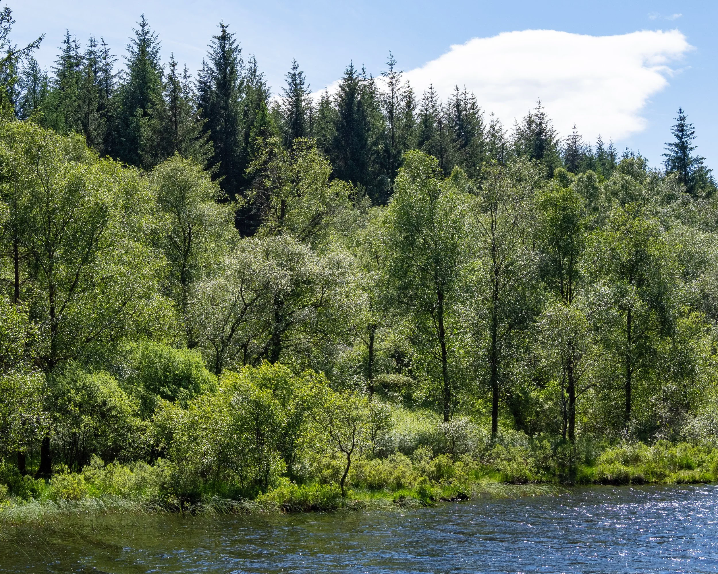 schottland-0327.jpg