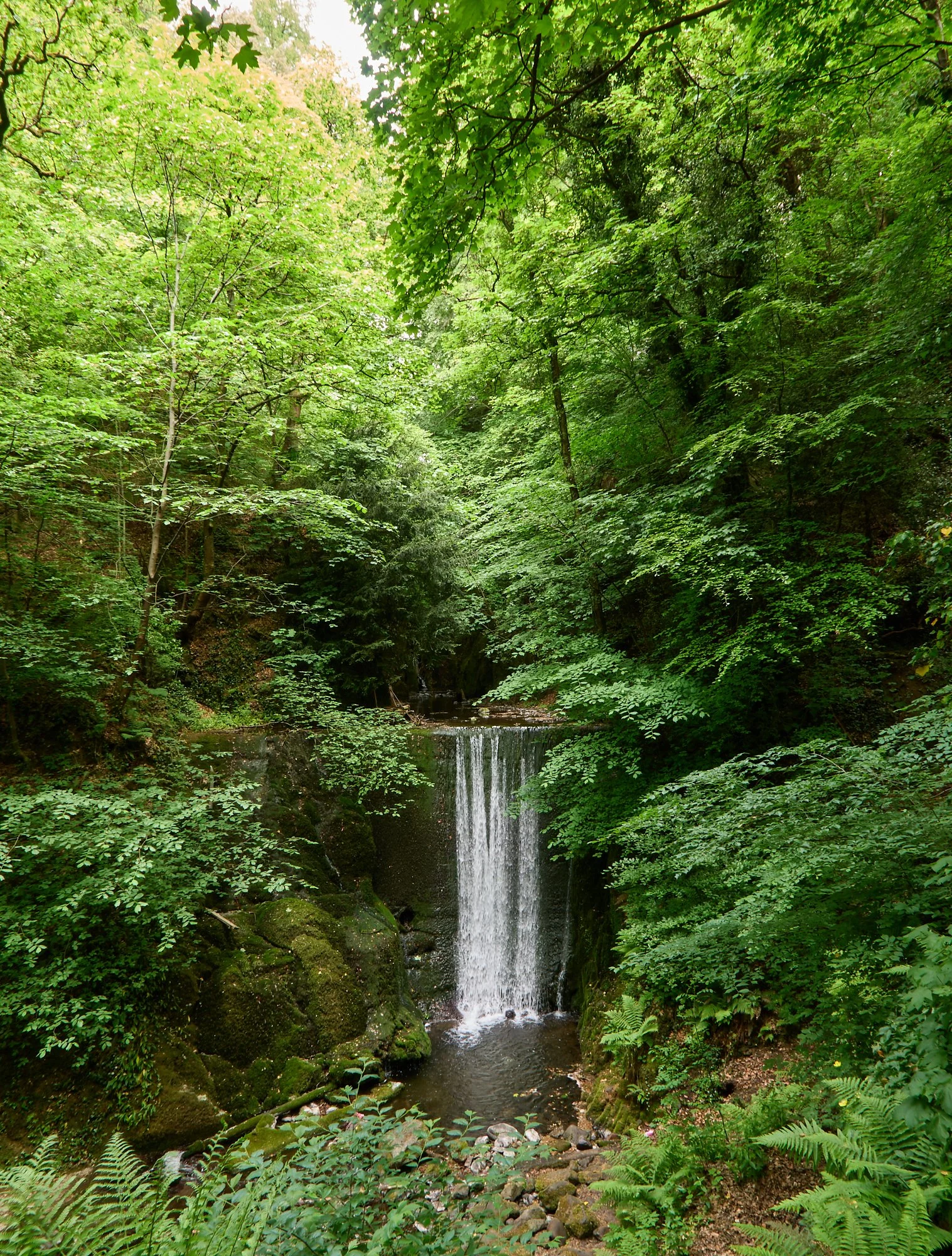 OTSchubert-Schottland-2026-054.jpg