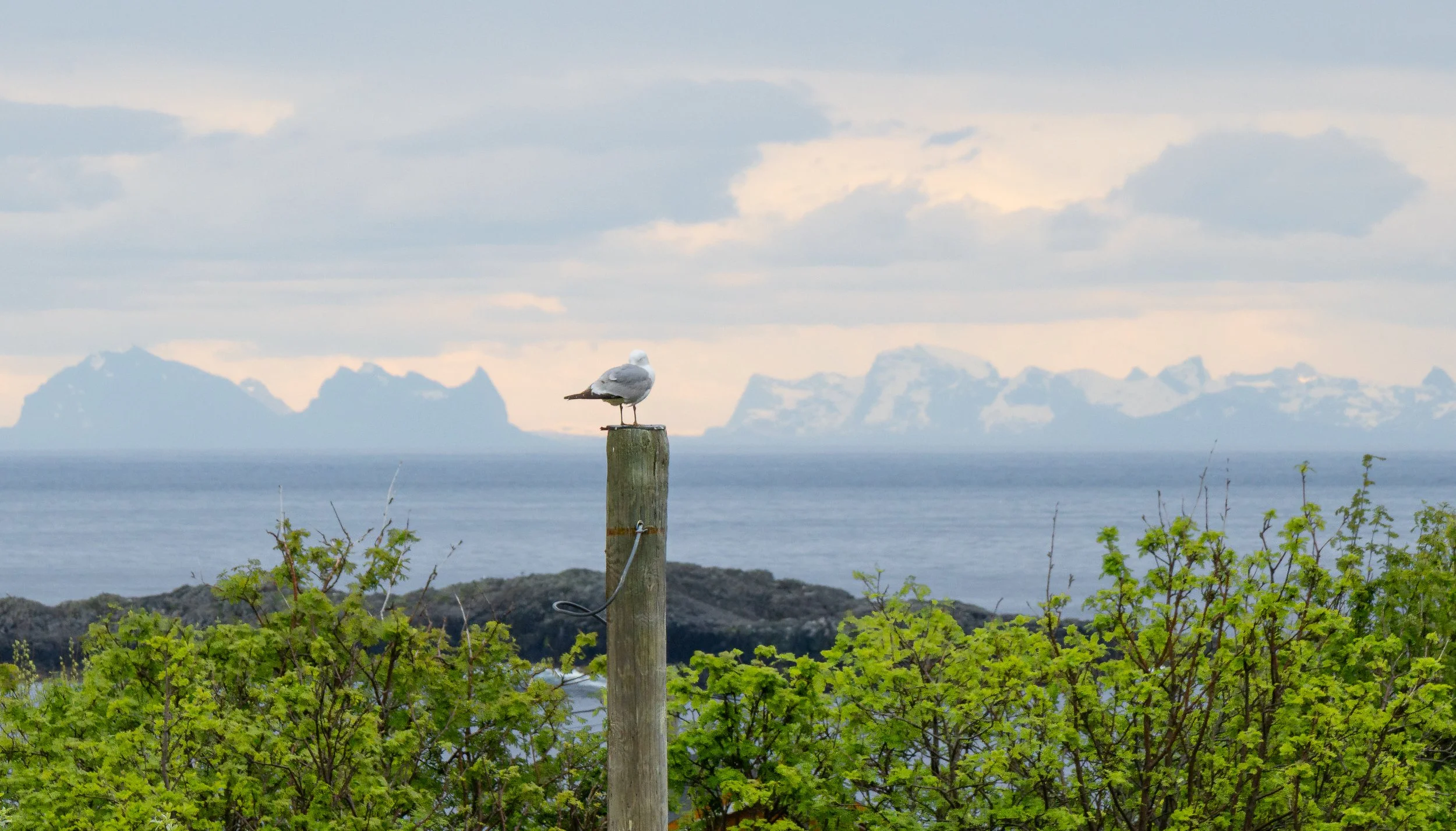 Norwegen-0724.jpg