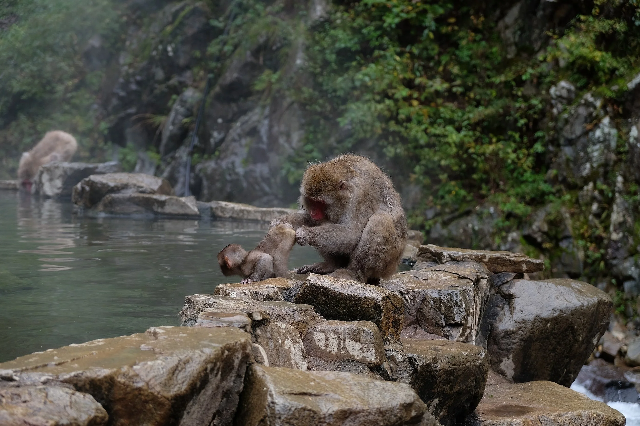 Japan-052-2.jpg