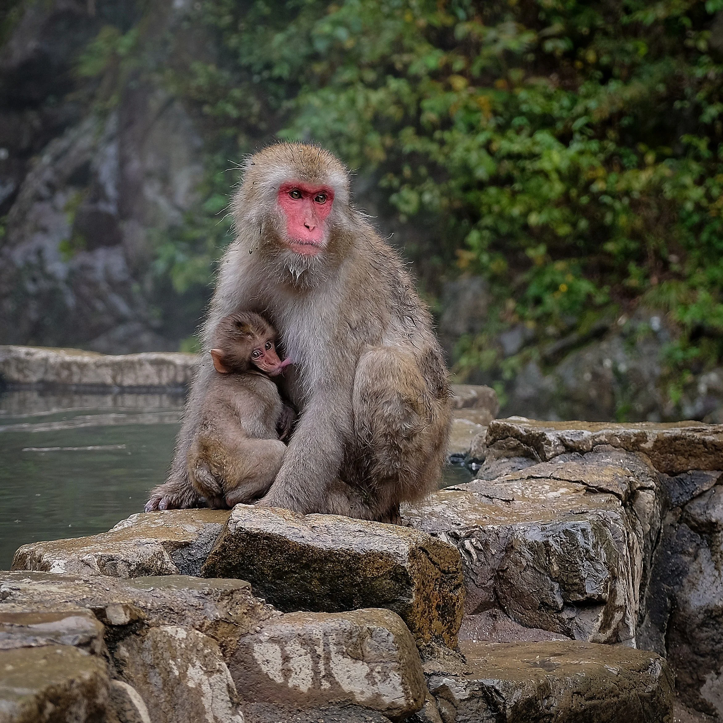 japan-094.jpg