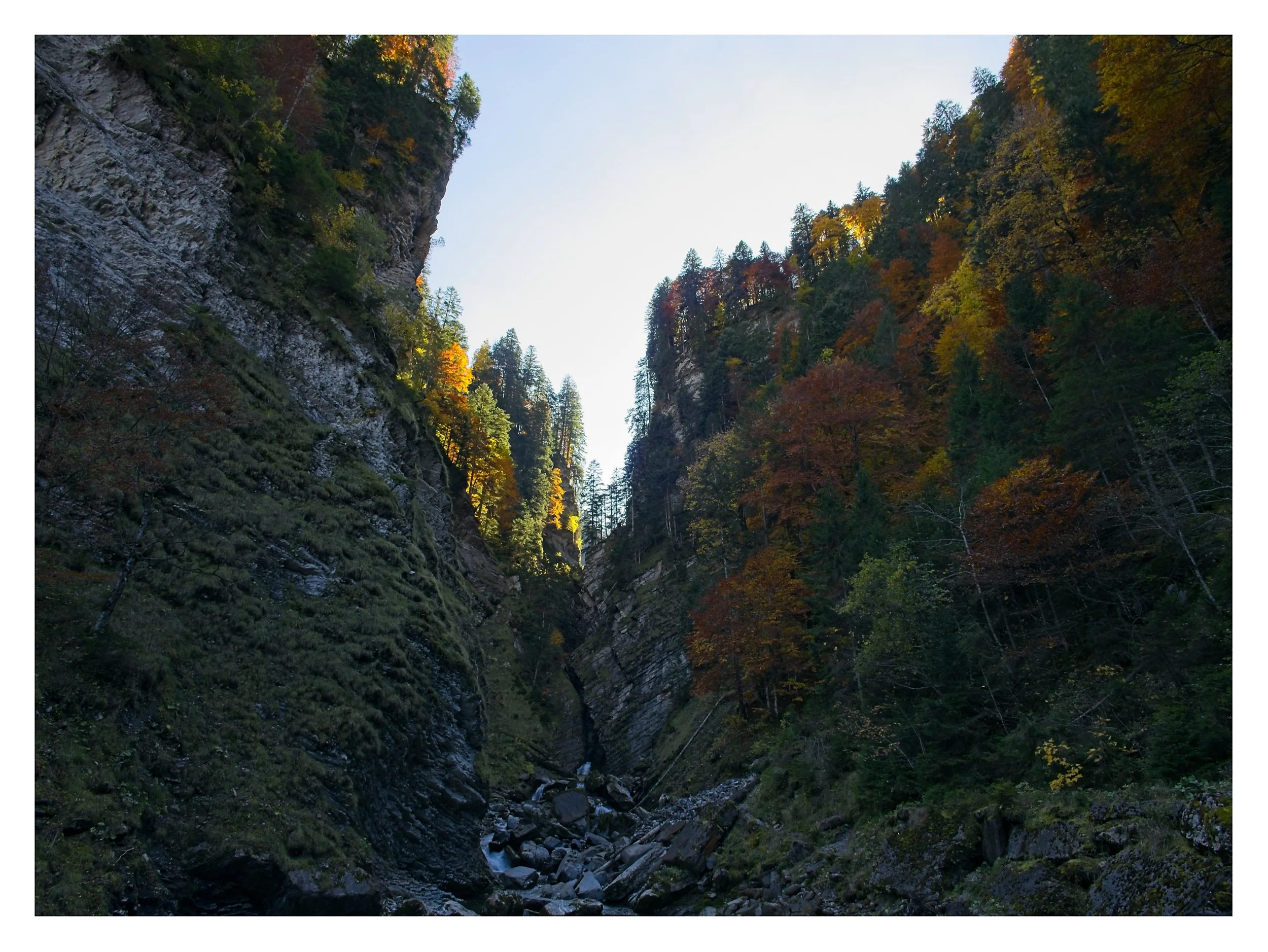 _1011264.jpg