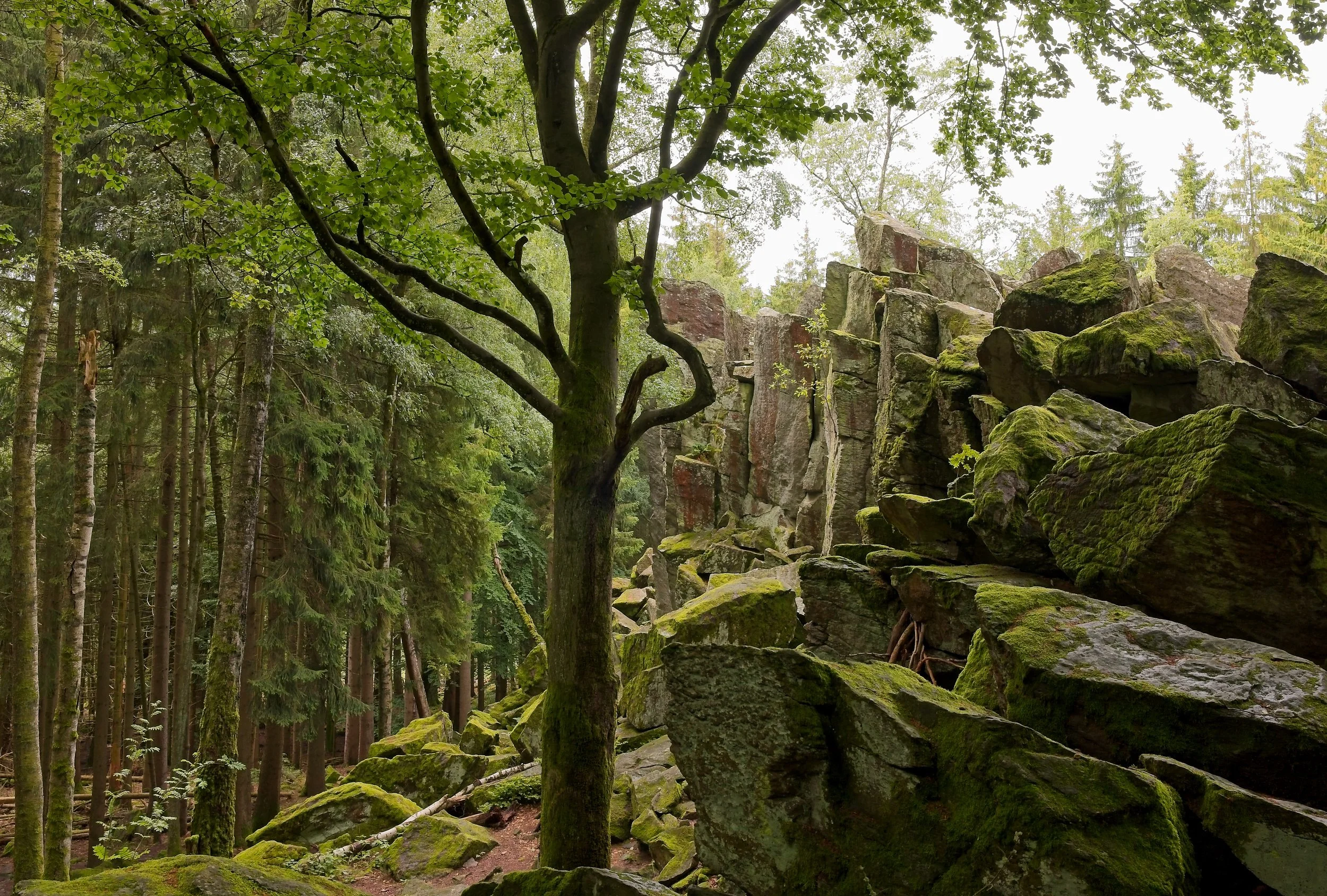 L1010729.jpg