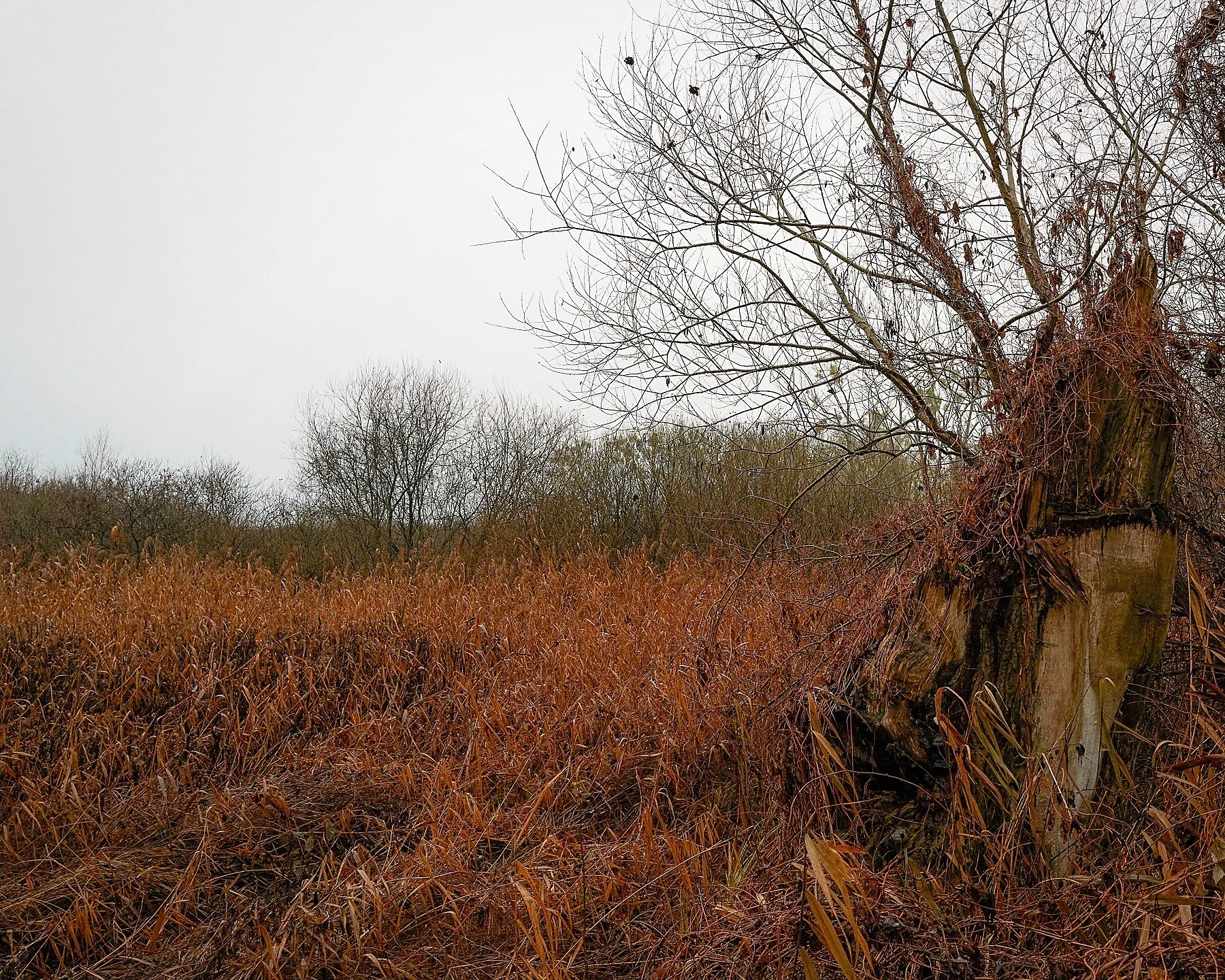 OTS-verschiedene-009.jpg