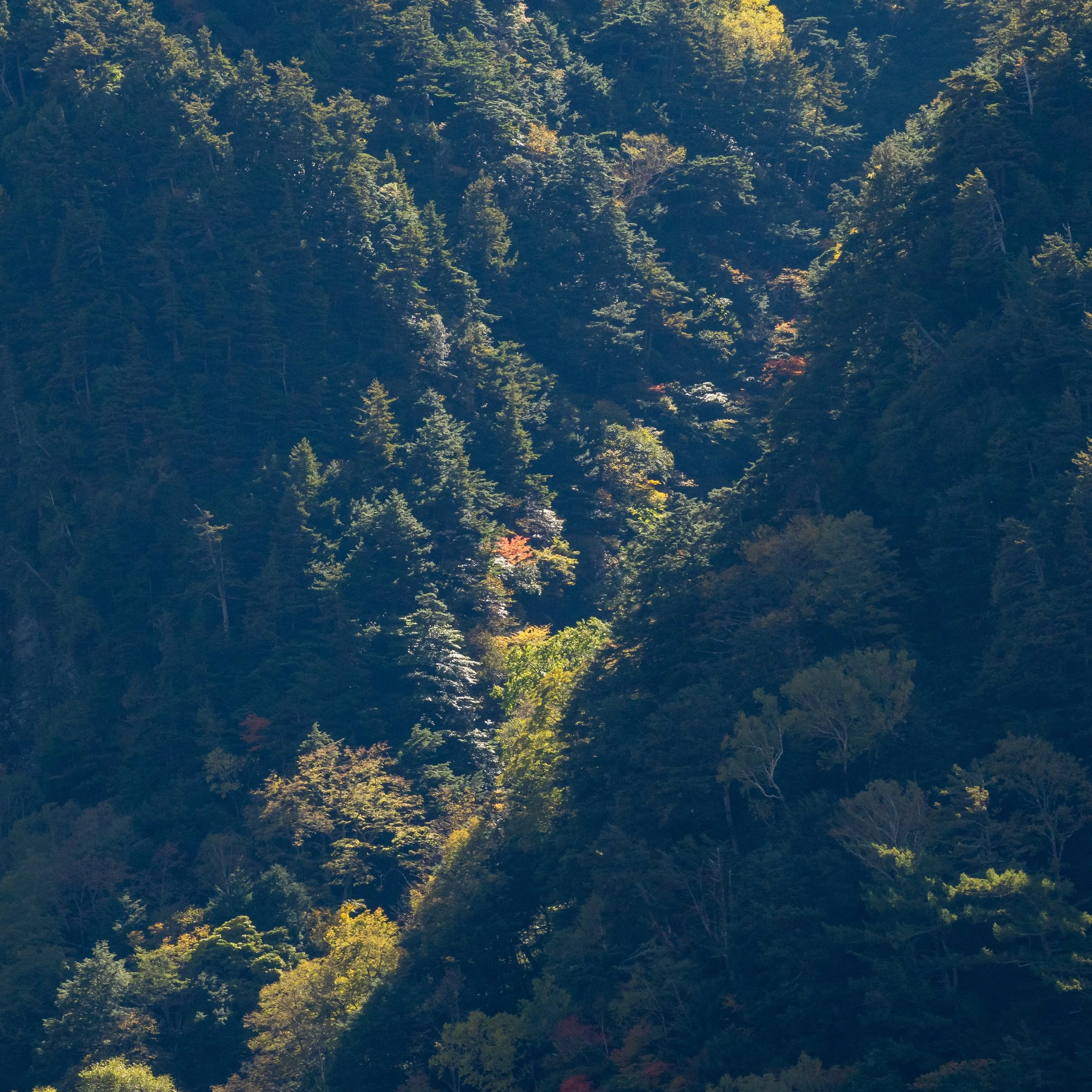 Japan-Okt-2024-774.jpg