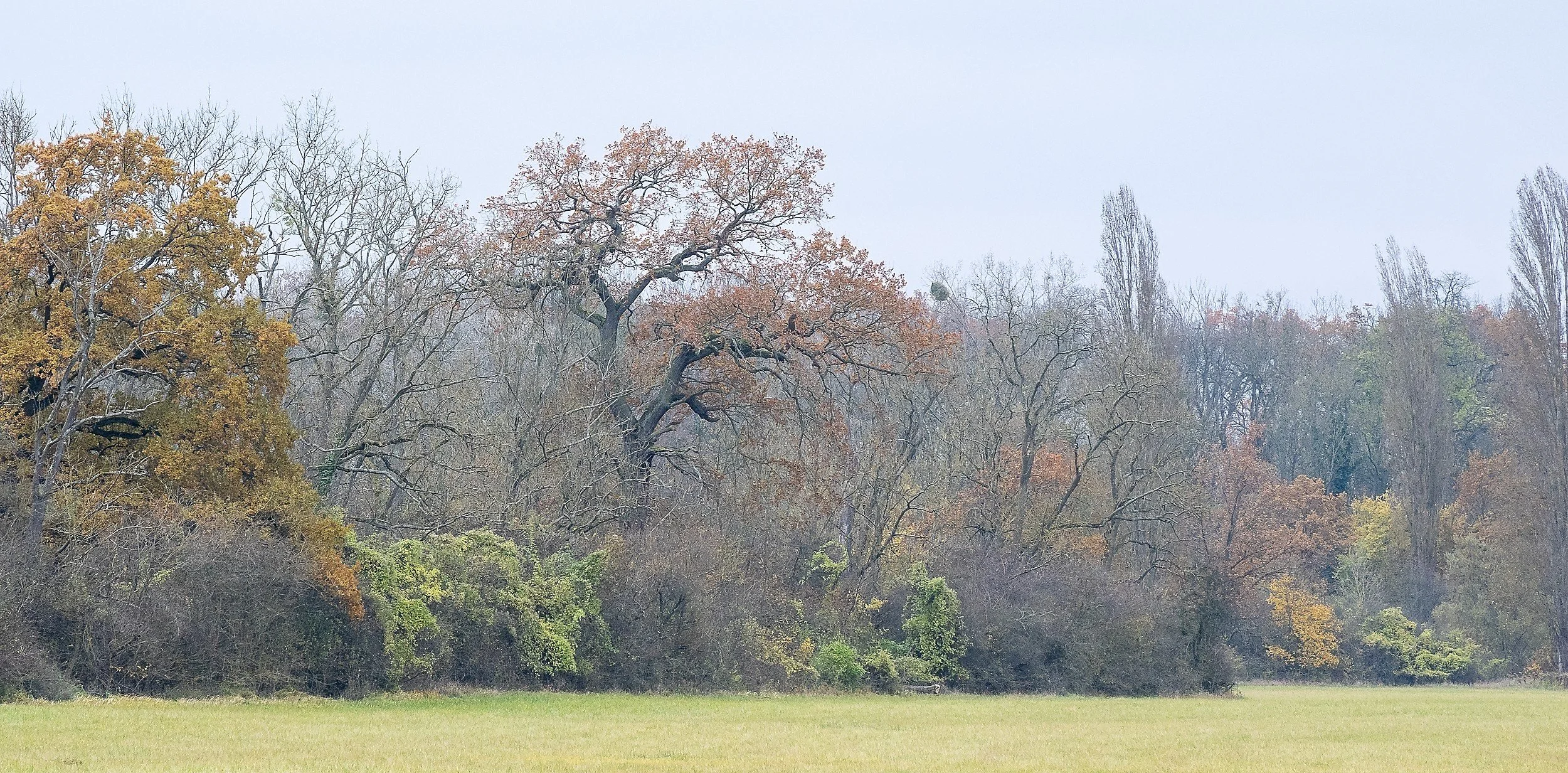 OTS-walks-fall-007.jpg