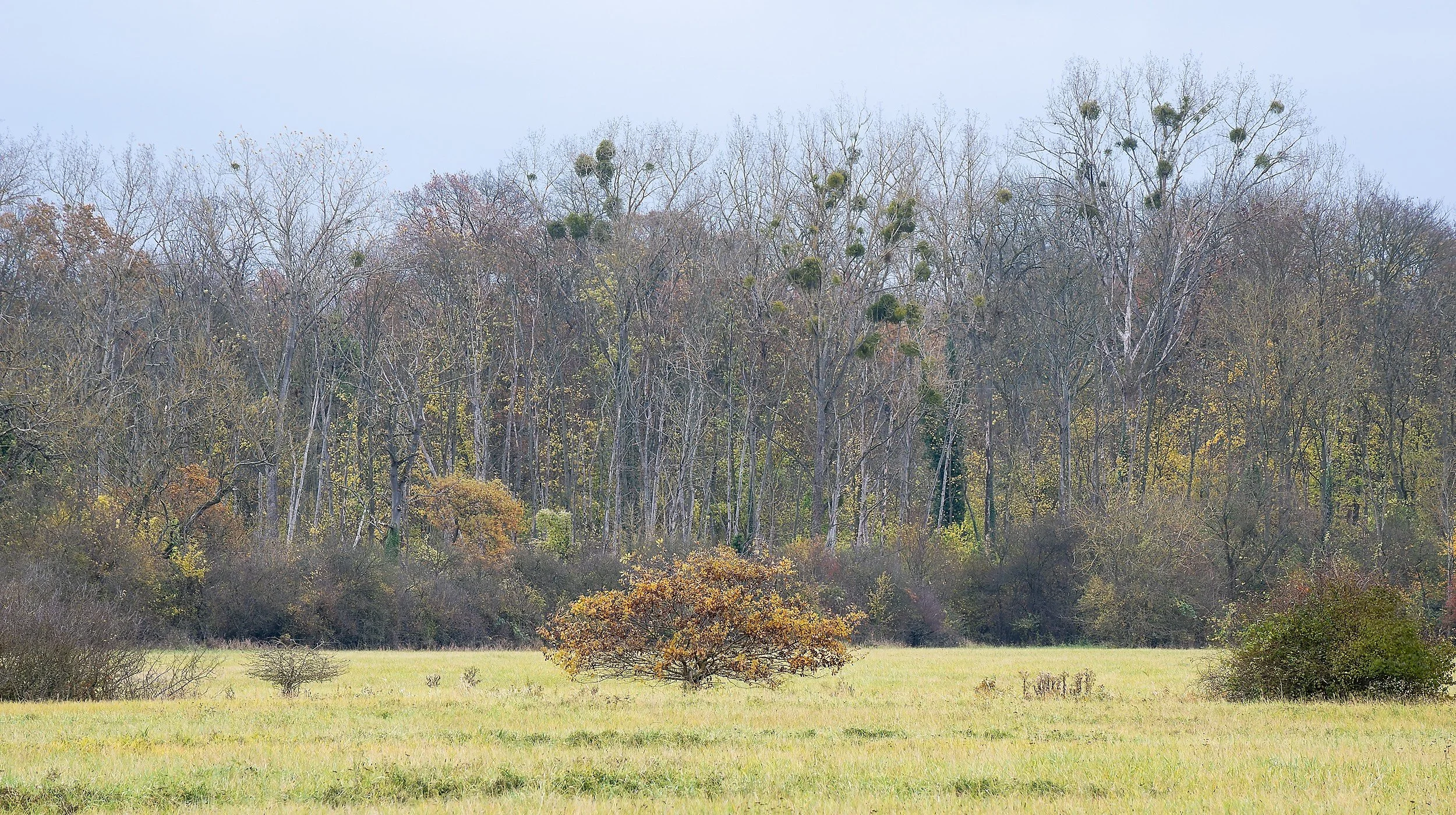 OTS-walks-fall-009.jpg
