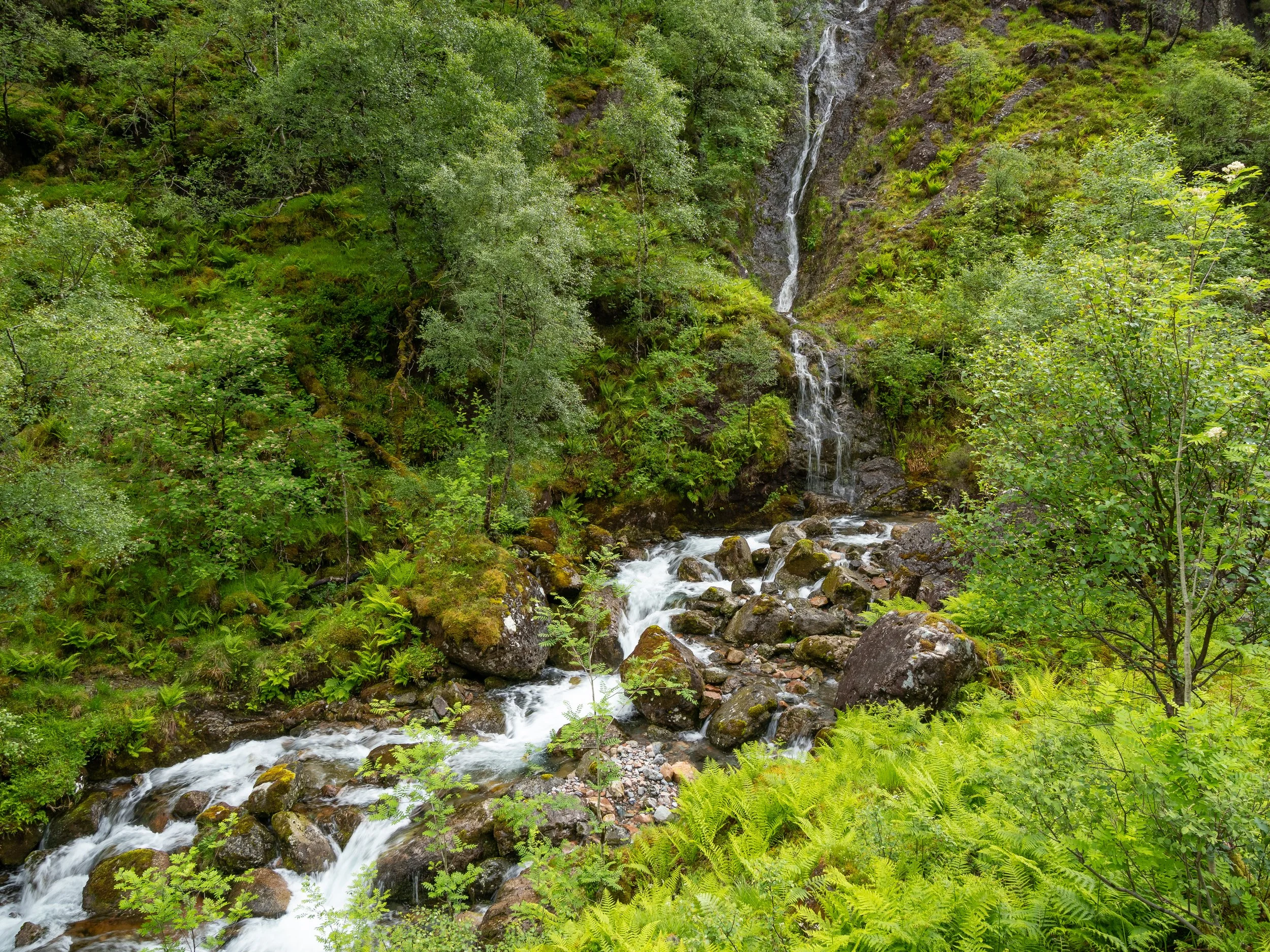 schottland-0990.jpg